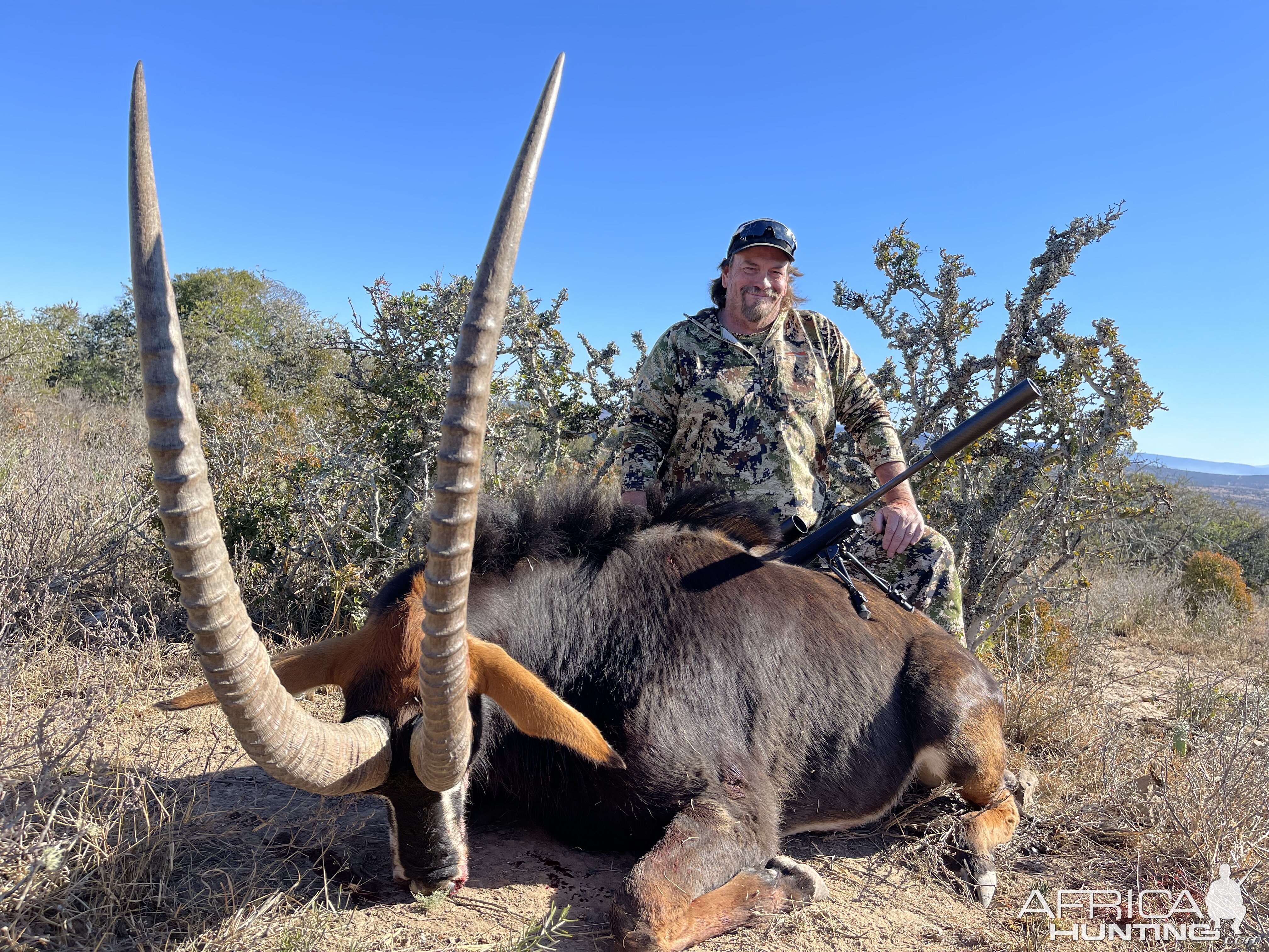 Sable Hunt Eastern Cape South Africa