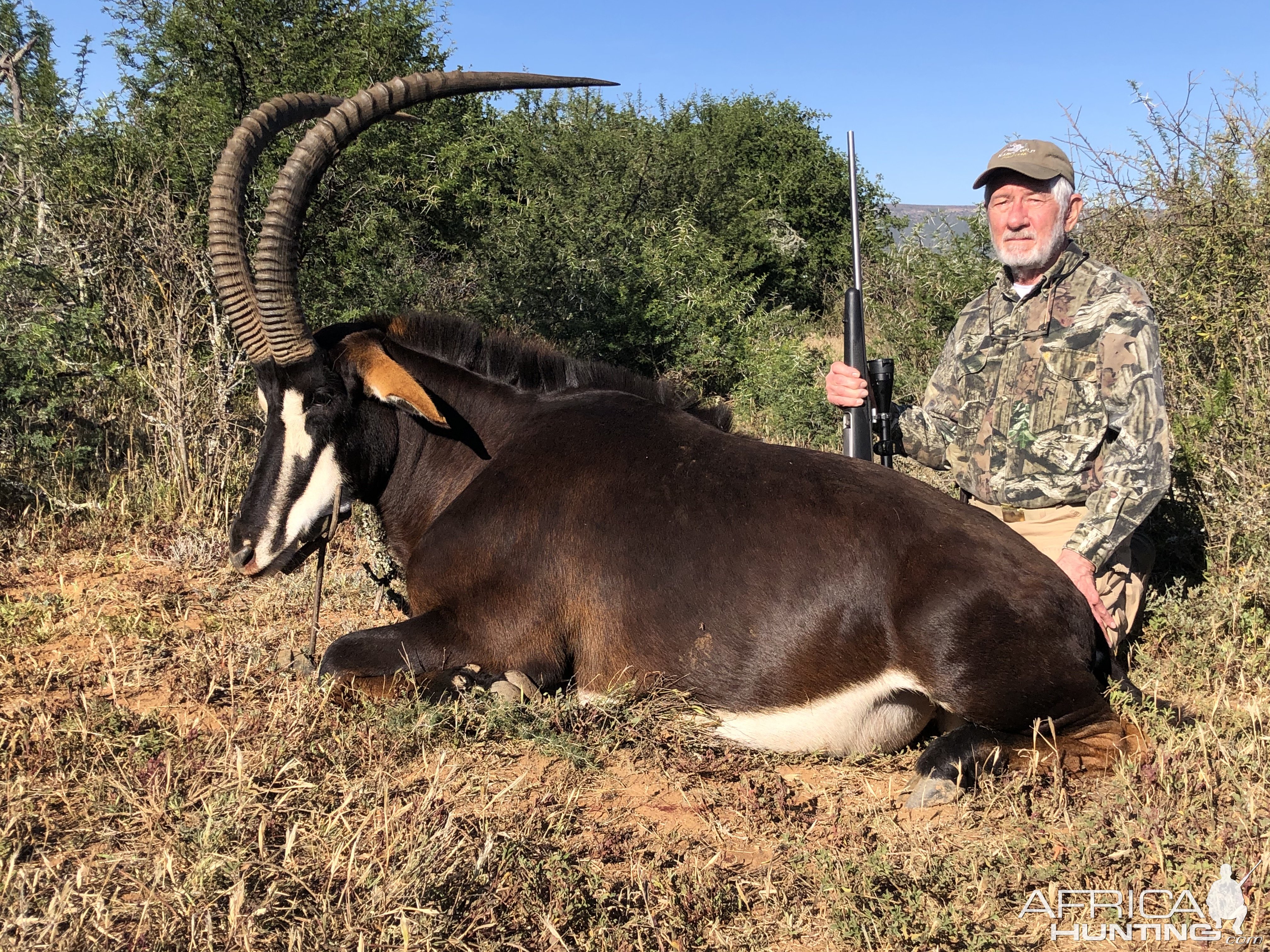 Sable Hunt Karoo South Africa