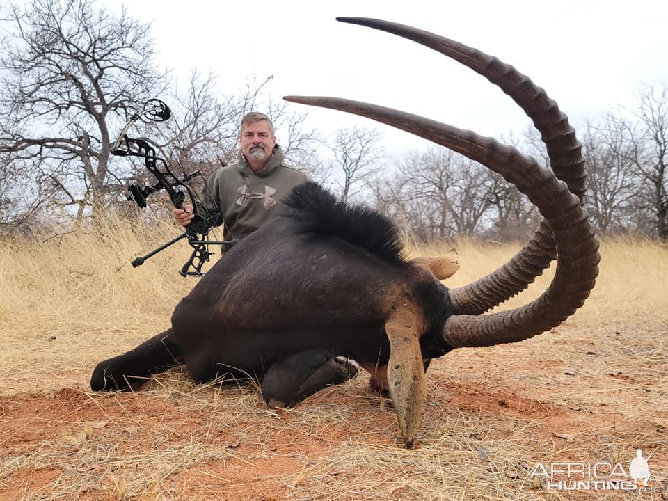 Sable Hunt Limpopo South Africa