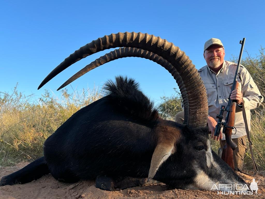 Sable Hunt Limpopo South Africa