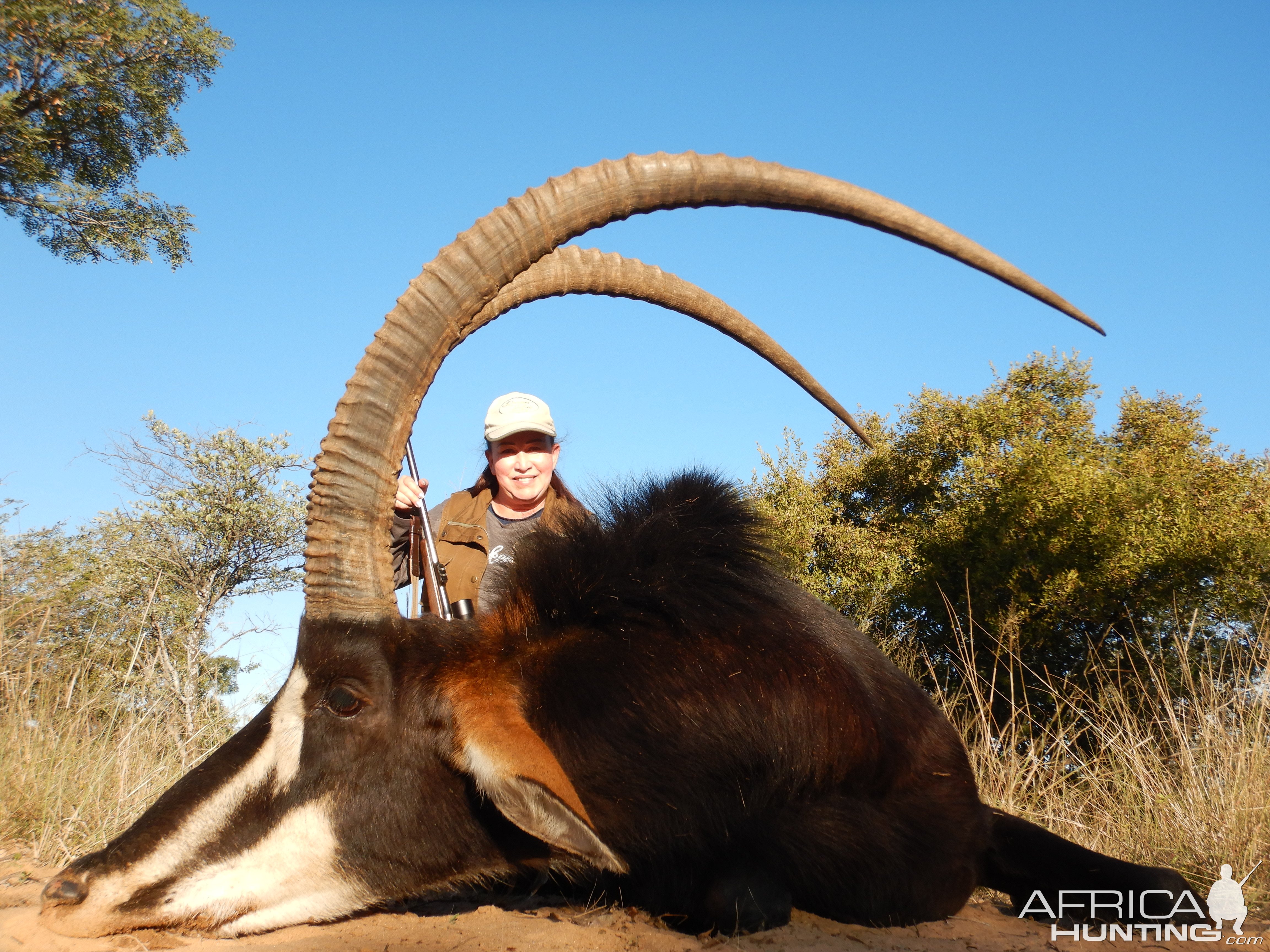 Sable Hunt Limpopo South Africa