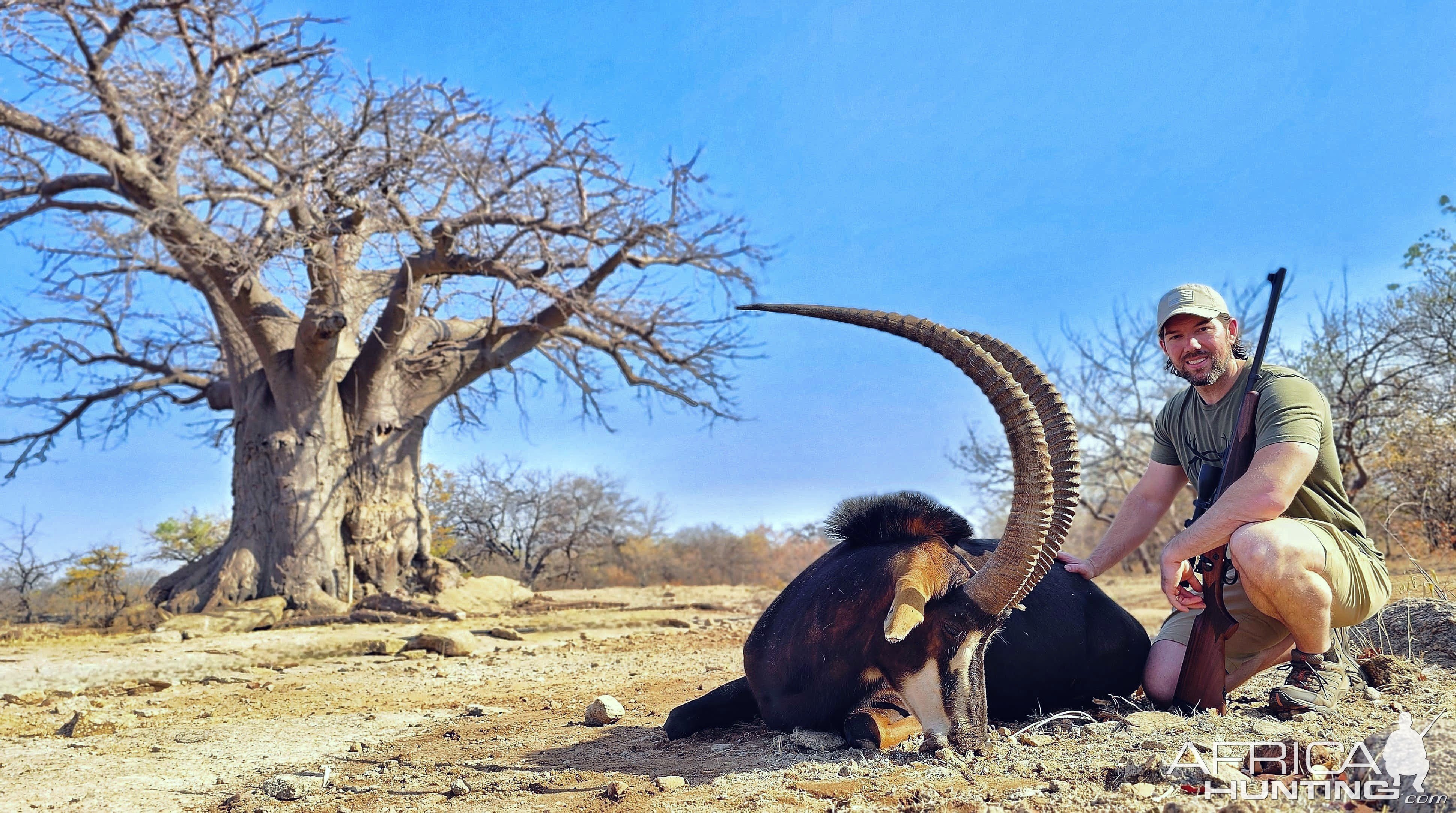 Sable Hunt Limpopo South Africa