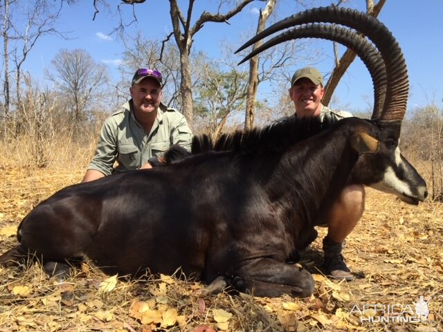 Sable Hunt Mozambique