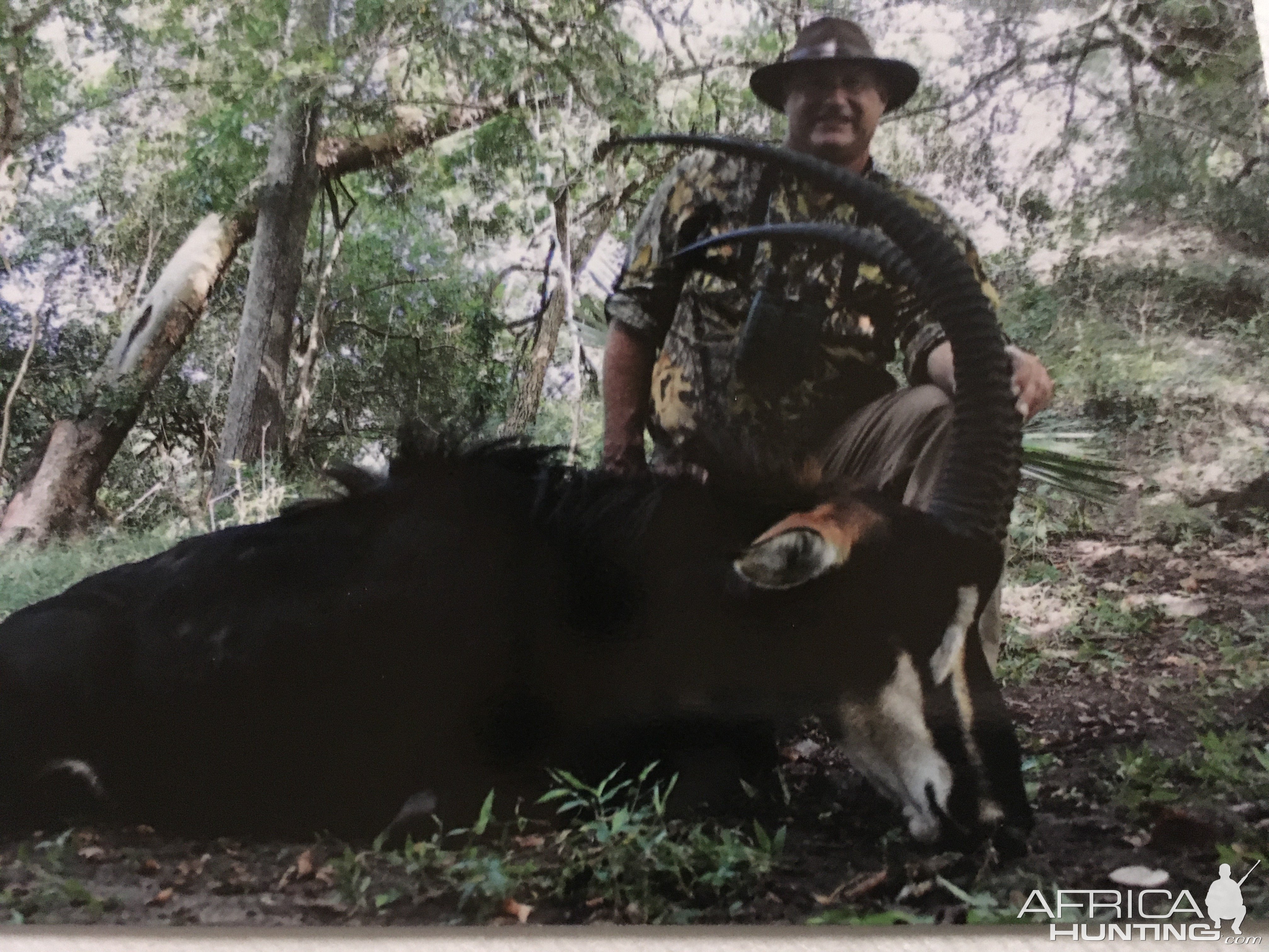 Sable Hunt Mozambique