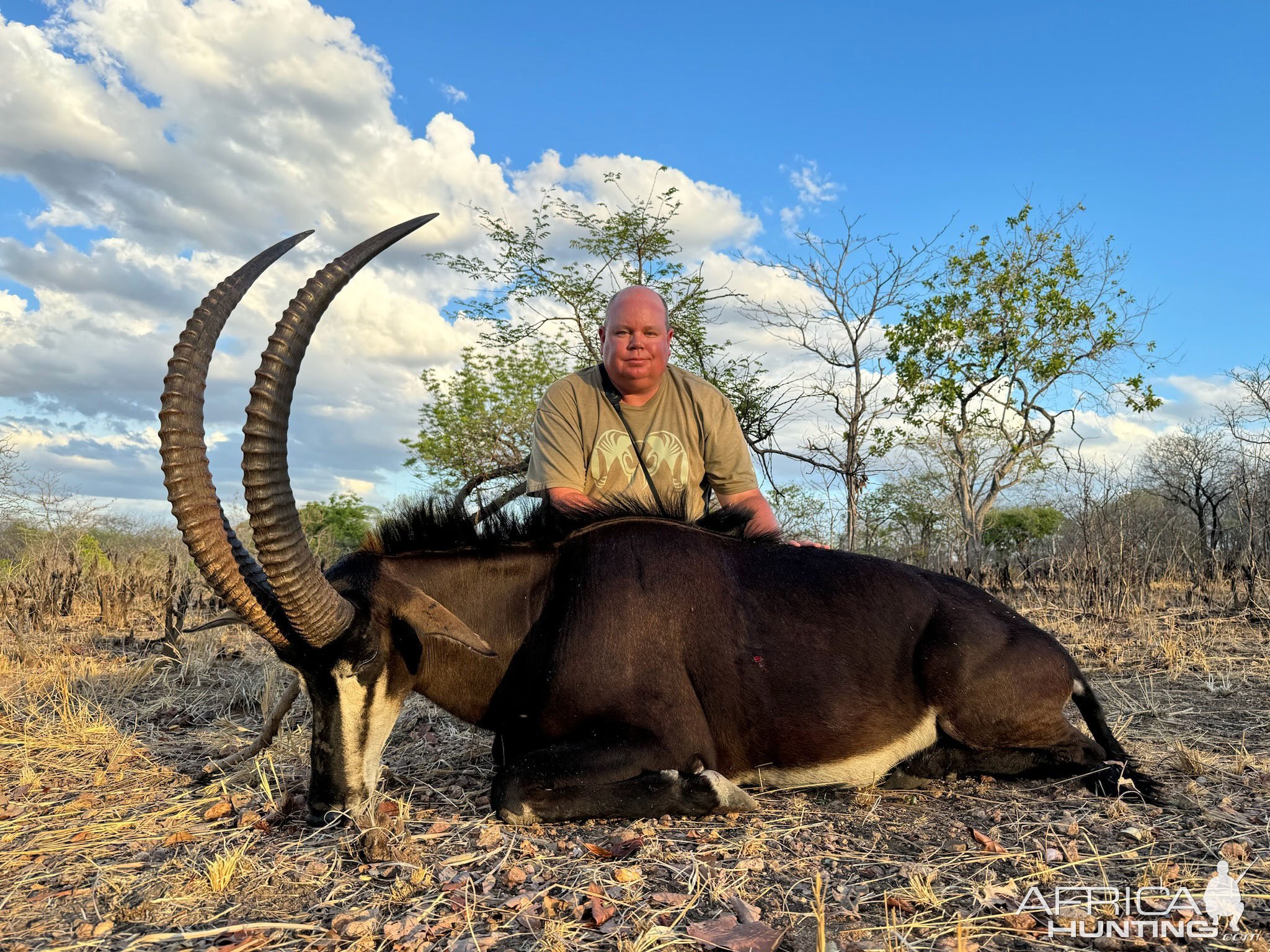 Sable Hunt Mozambique