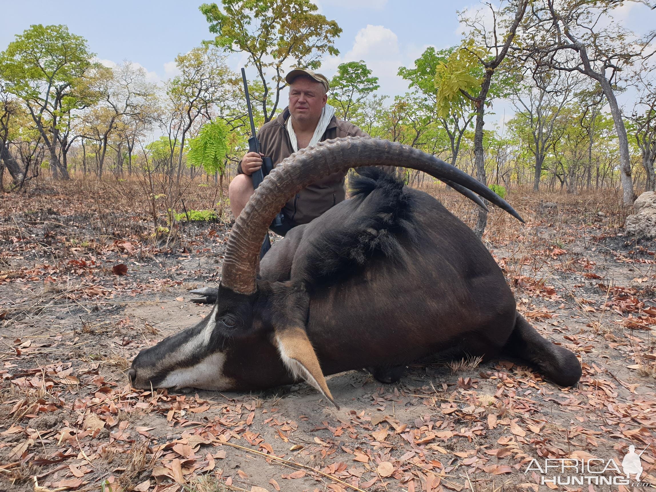 Sable Hunt Mozambique