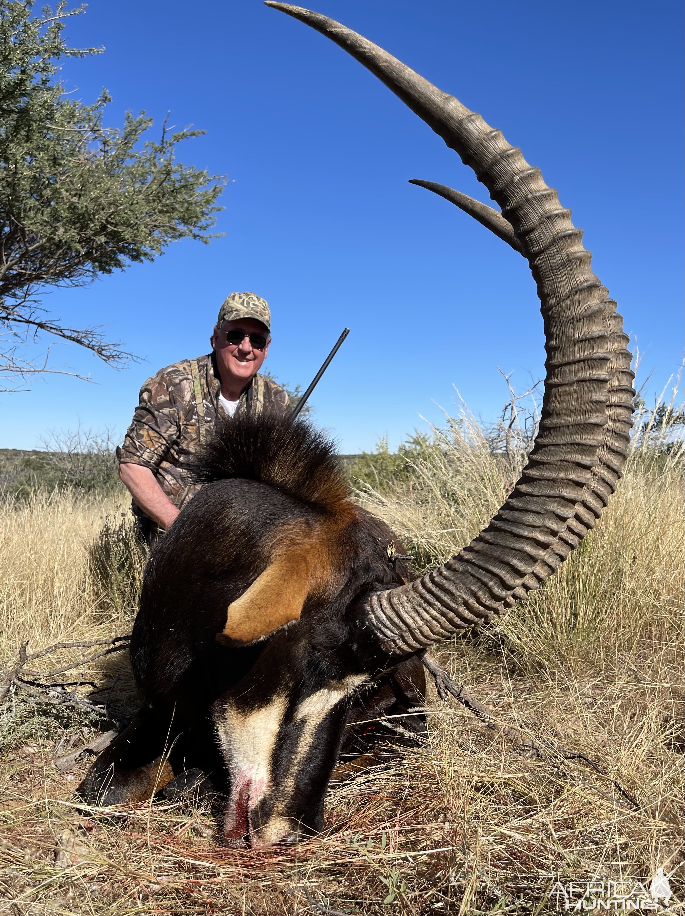 Sable Hunt Namibia