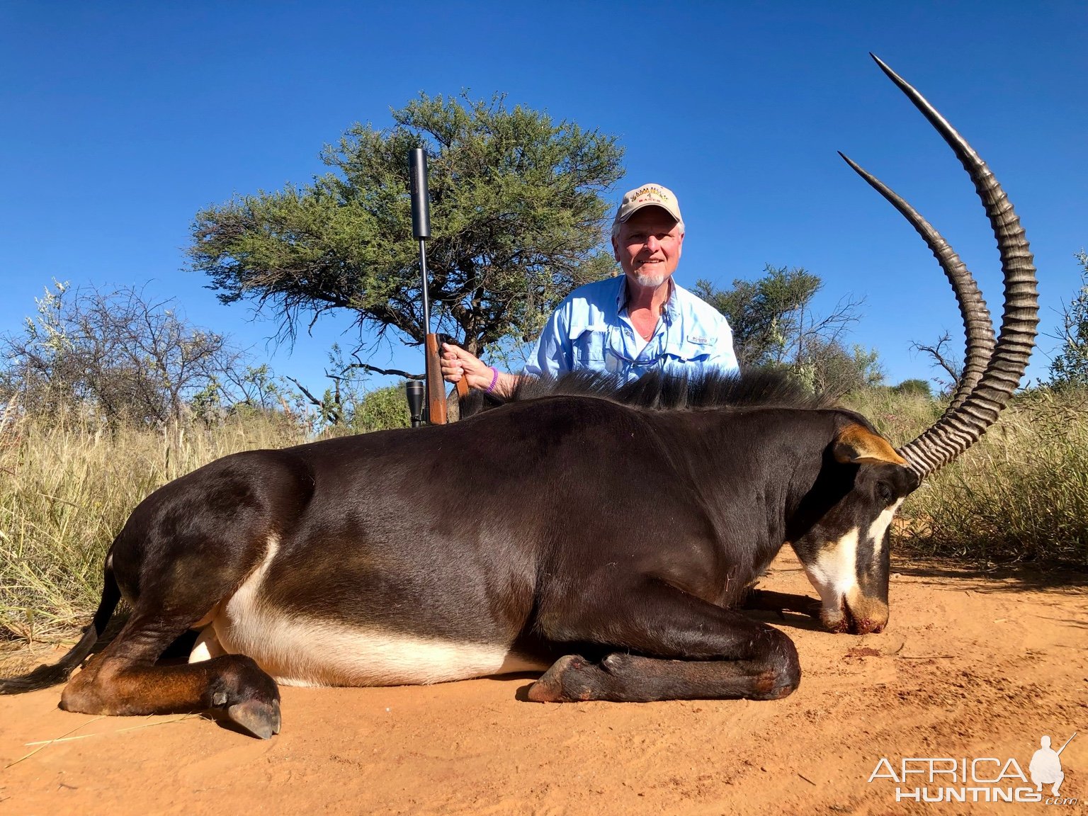 Sable Hunt Namibia