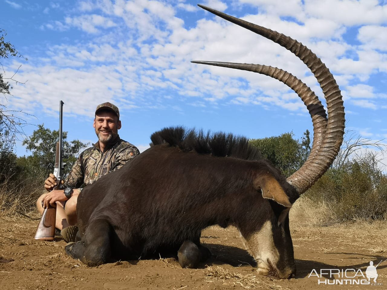 Sable Hunt South Africa