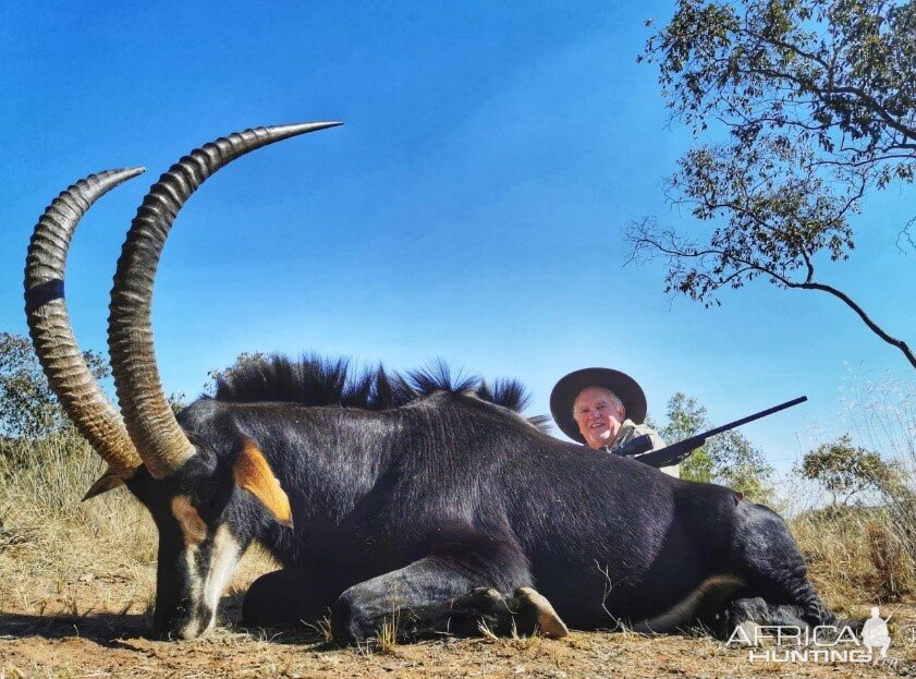 Sable Hunt South Africa