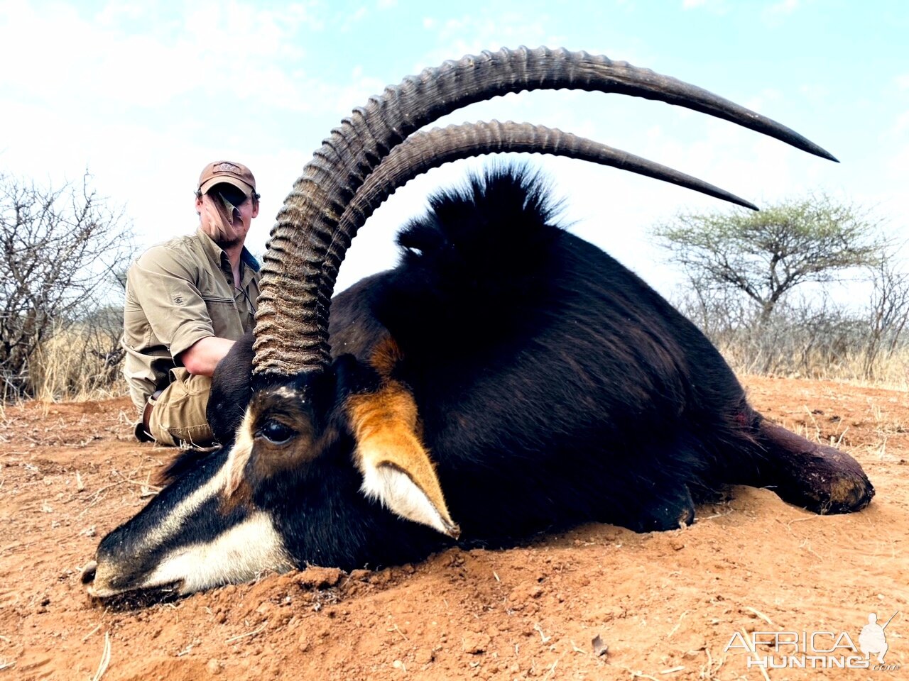 Sable Hunt South Africa