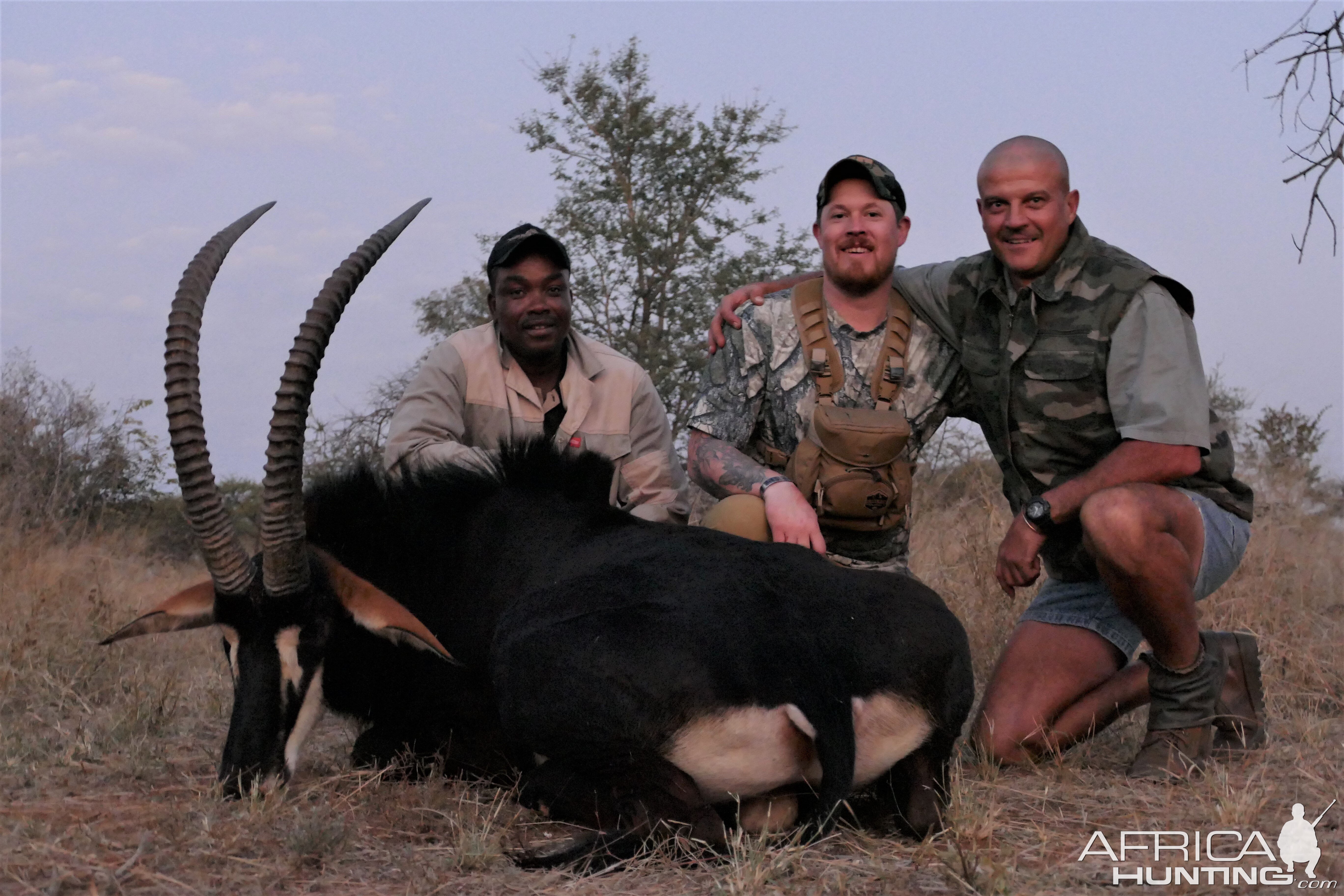 Sable Hunt South Africa