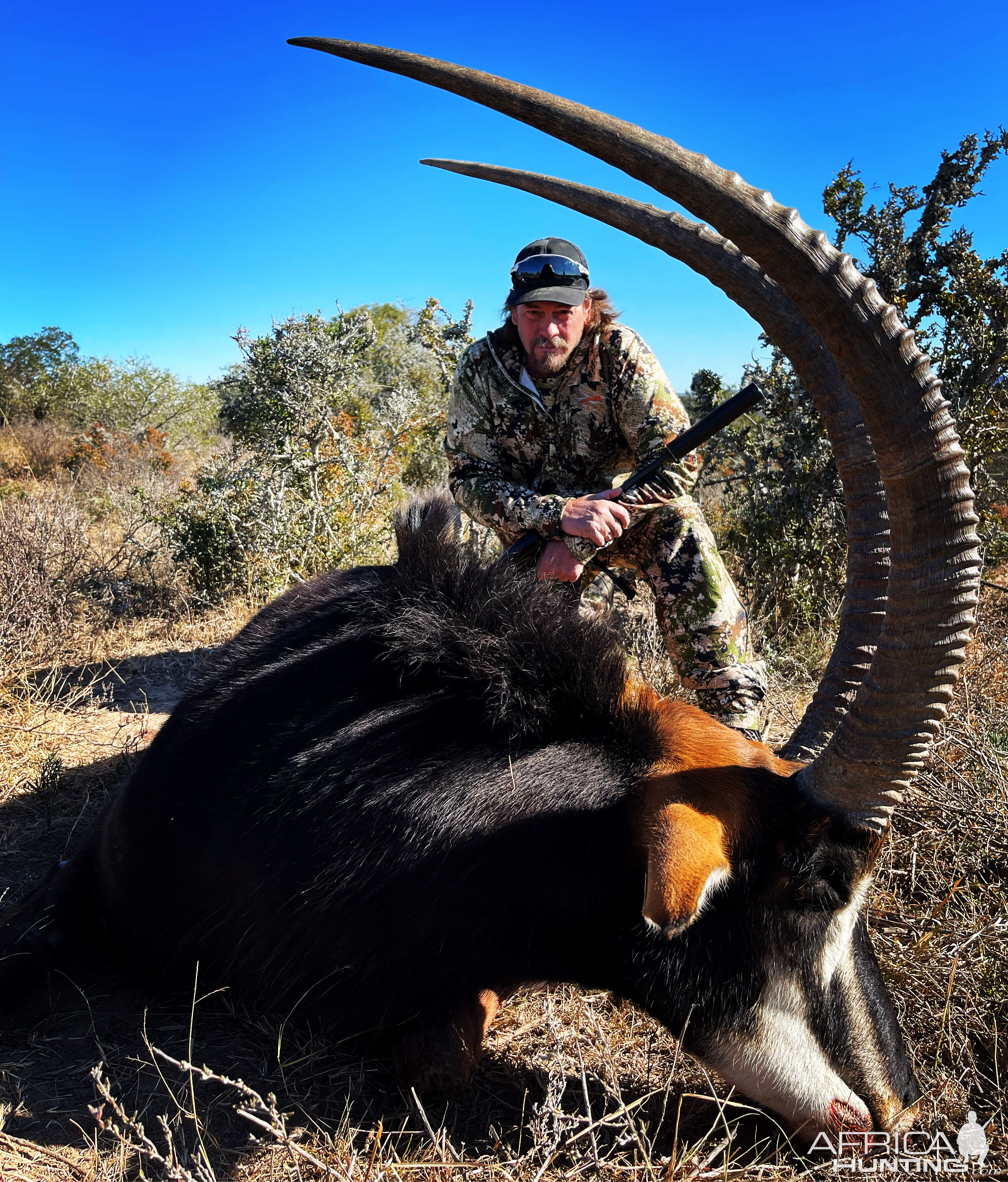 Sable Hunt South Africa