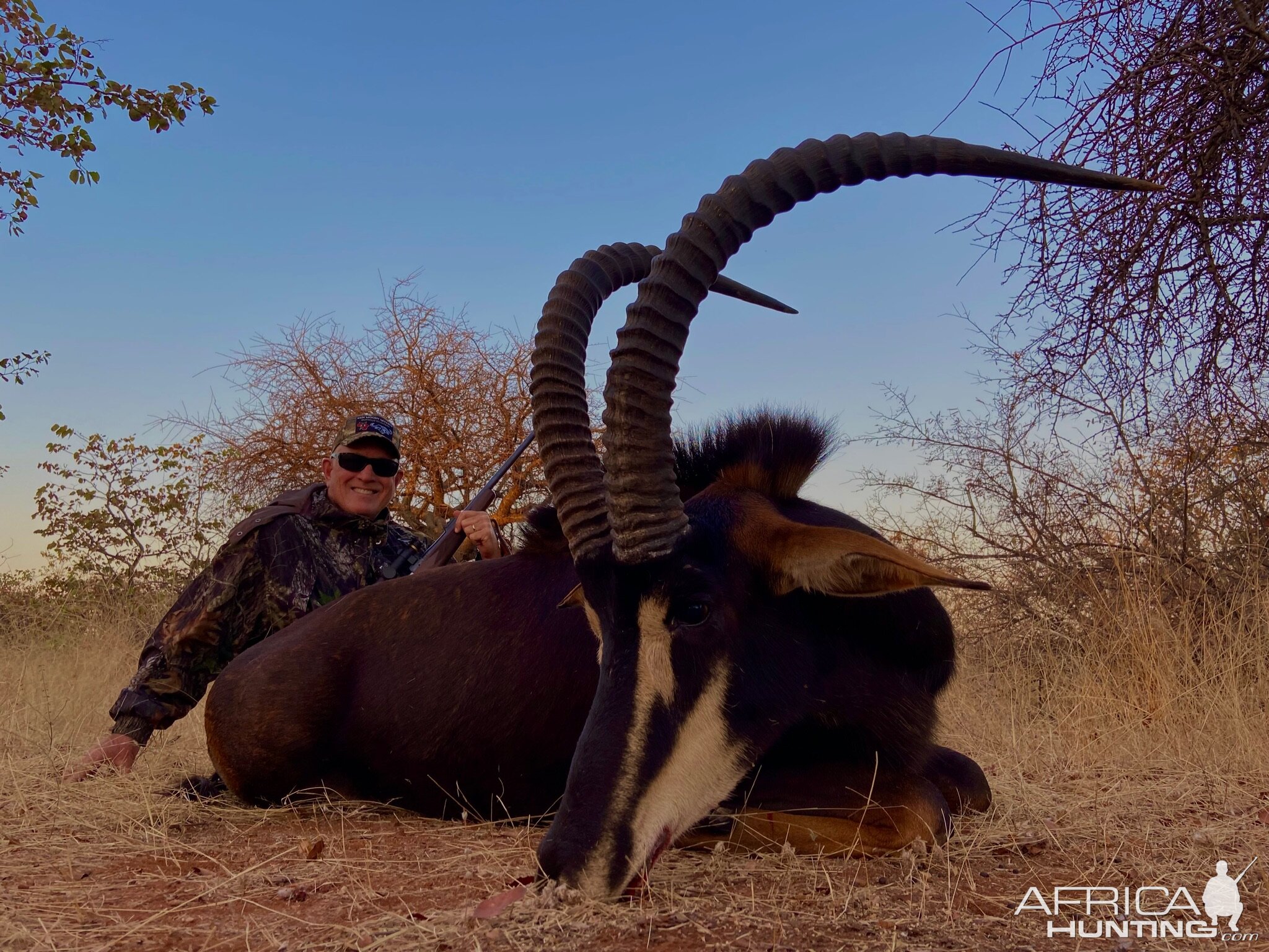 Sable Hunt South Africa