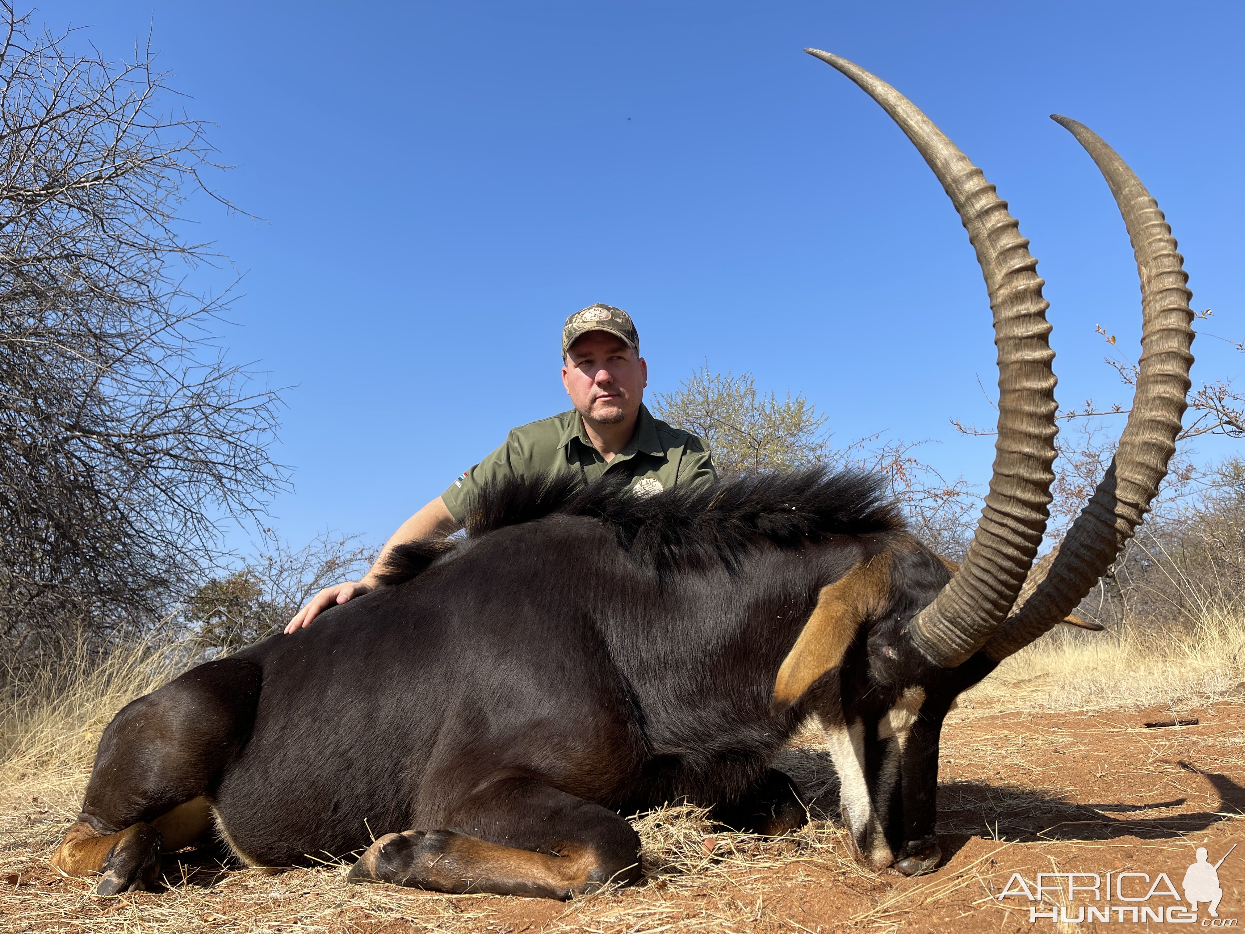 Sable Hunt South Africa