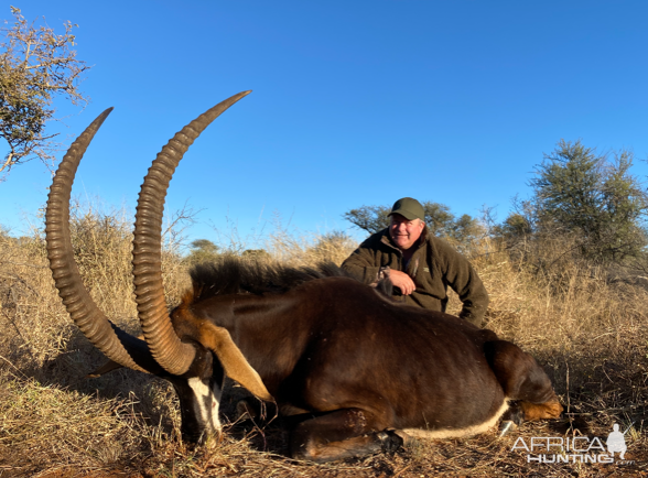 Sable Hunt South Africa