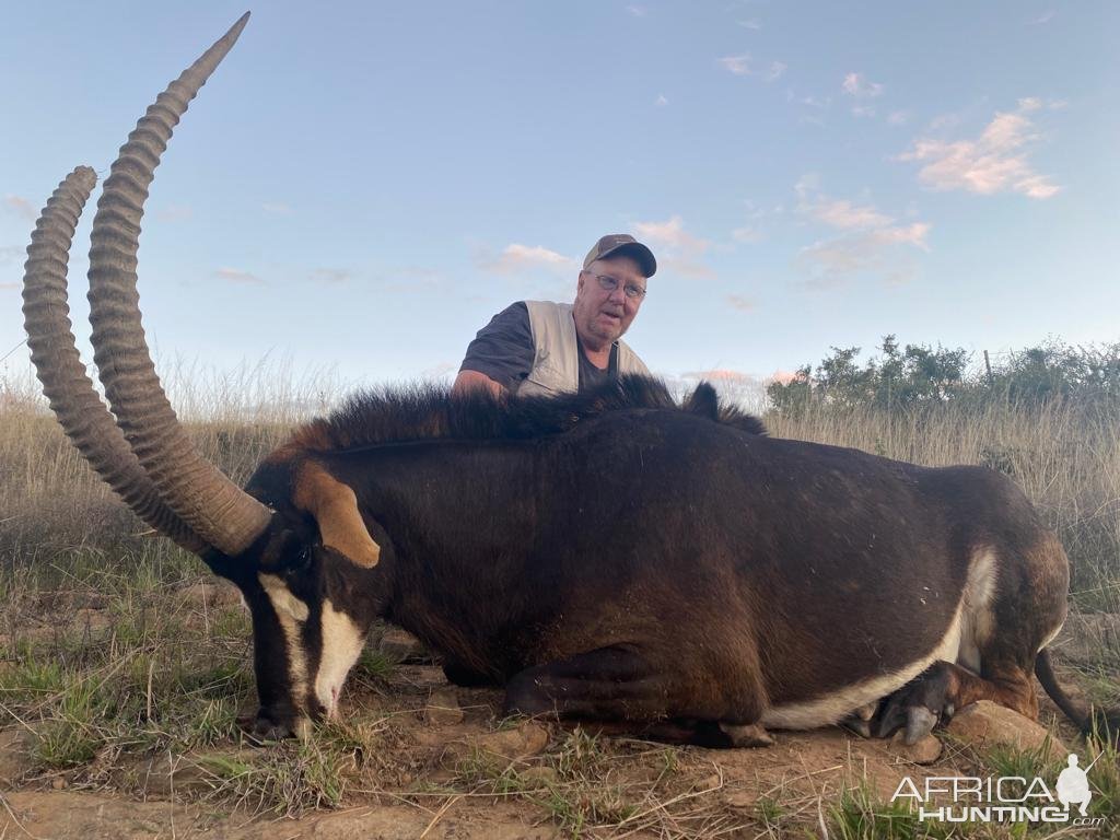 Sable Hunt South Africa