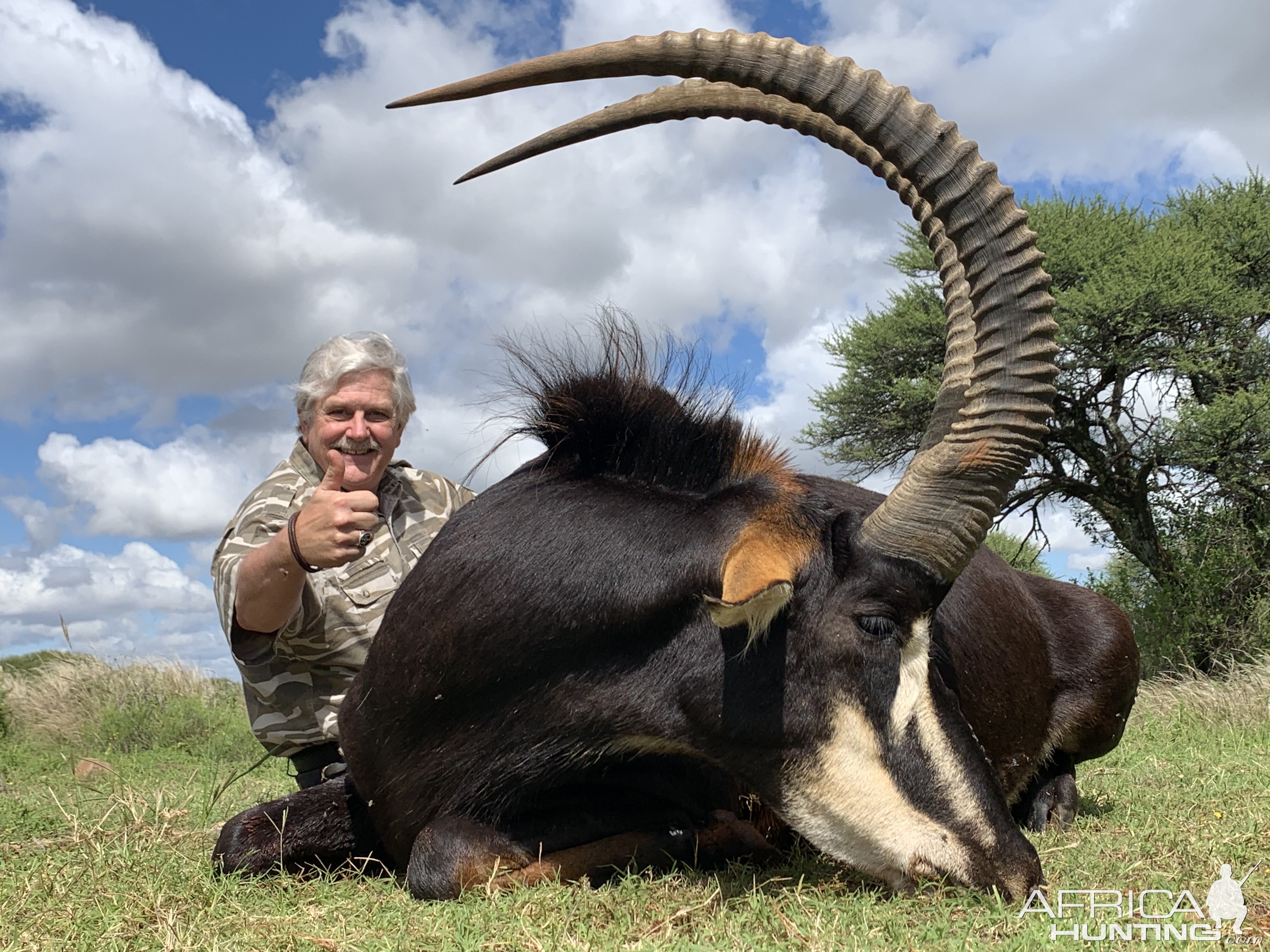 Sable Hunt South Africa