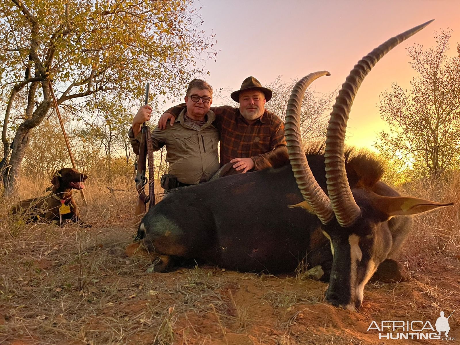 Sable Hunt South Africa