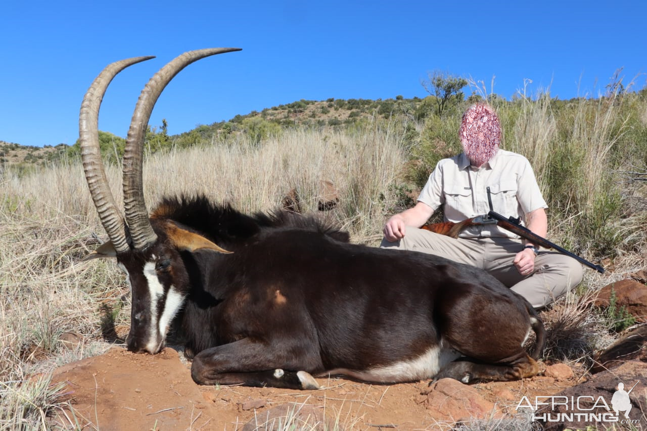 Sable Hunt South Africa