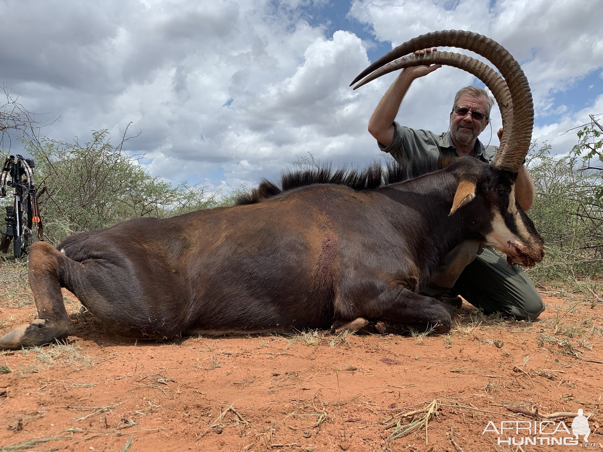 Sable Hunt South Africa