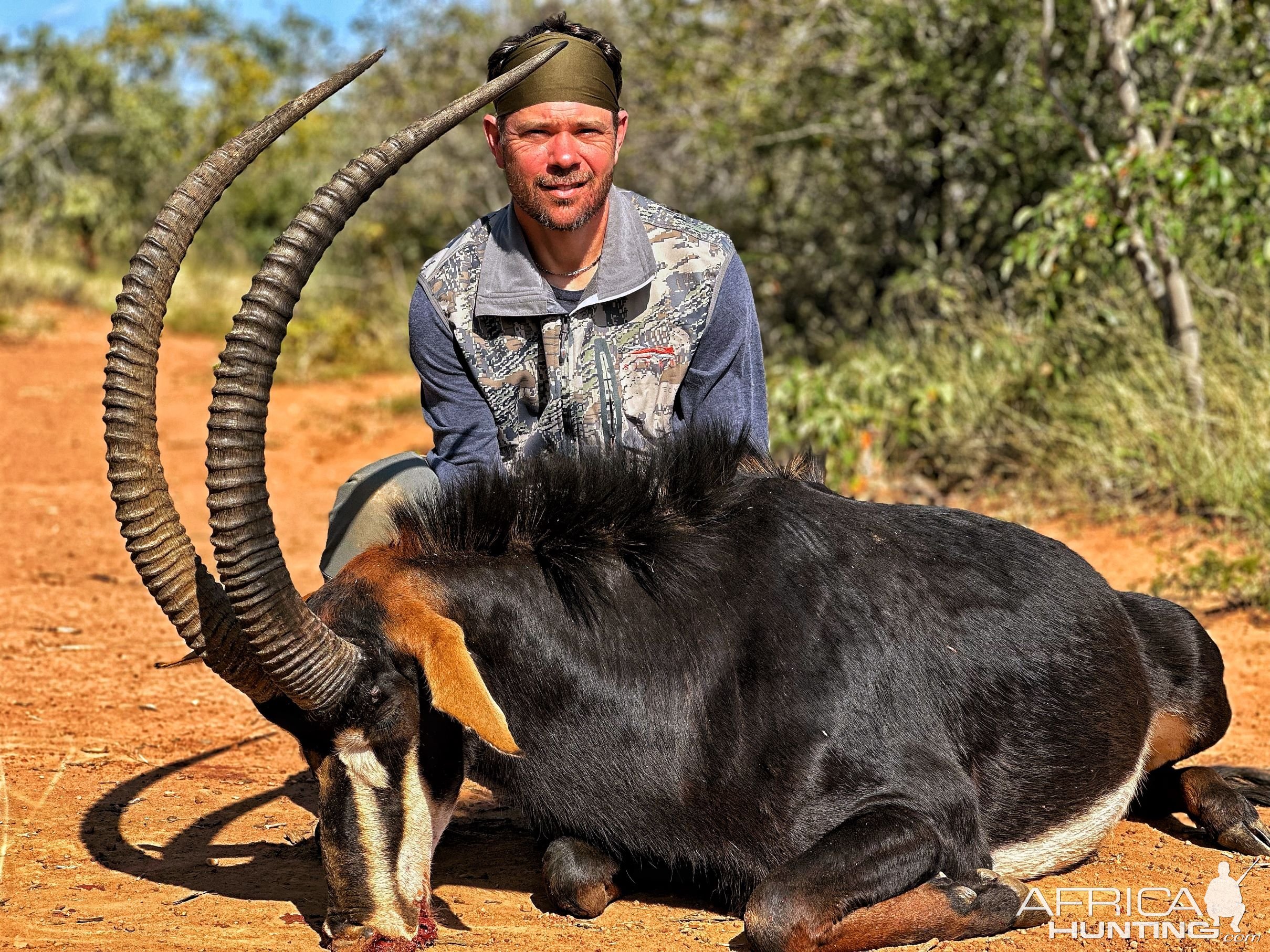 Sable Hunt South Africa