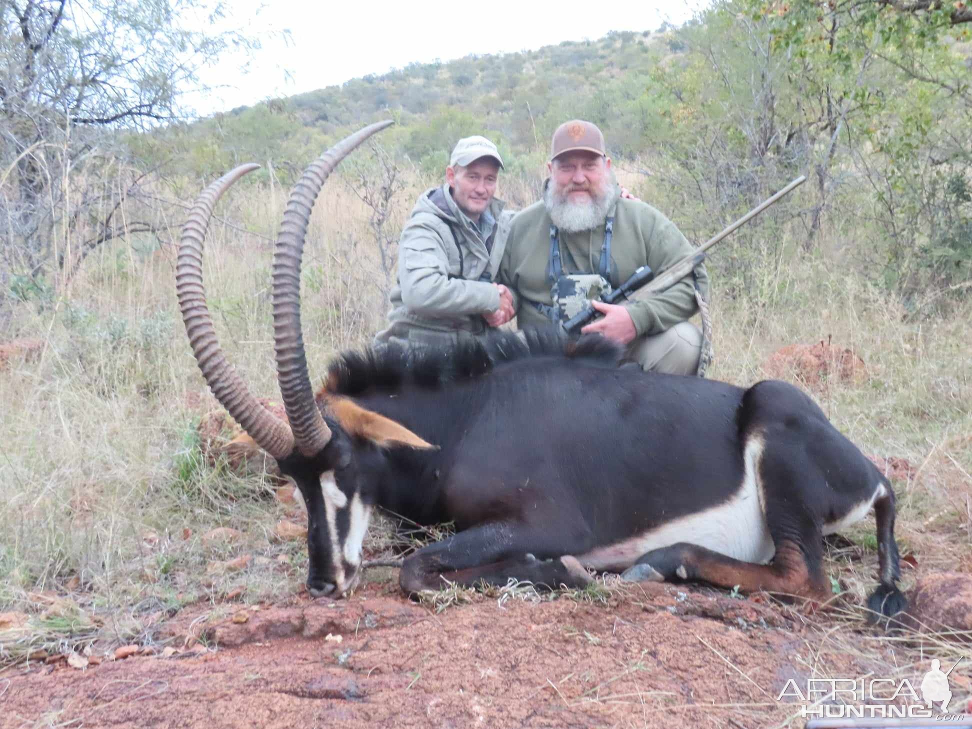 Sable Hunt South Africa