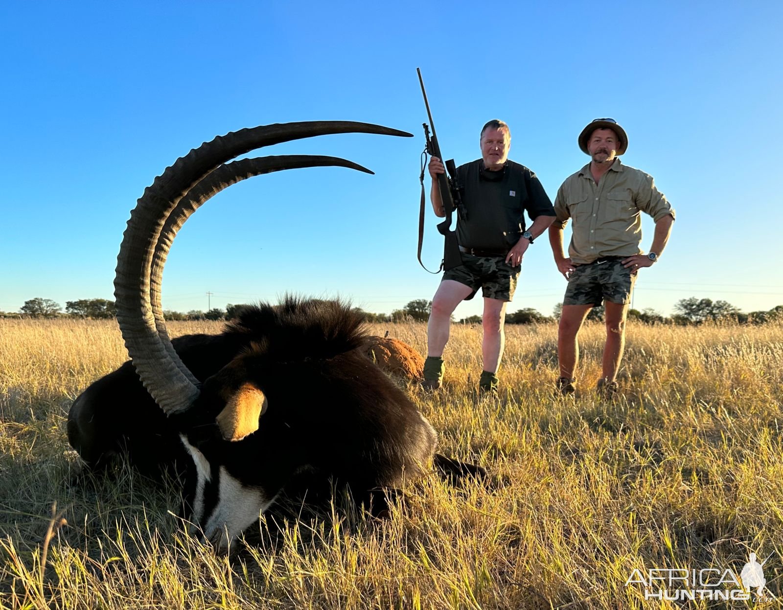 Sable Hunt South Africa