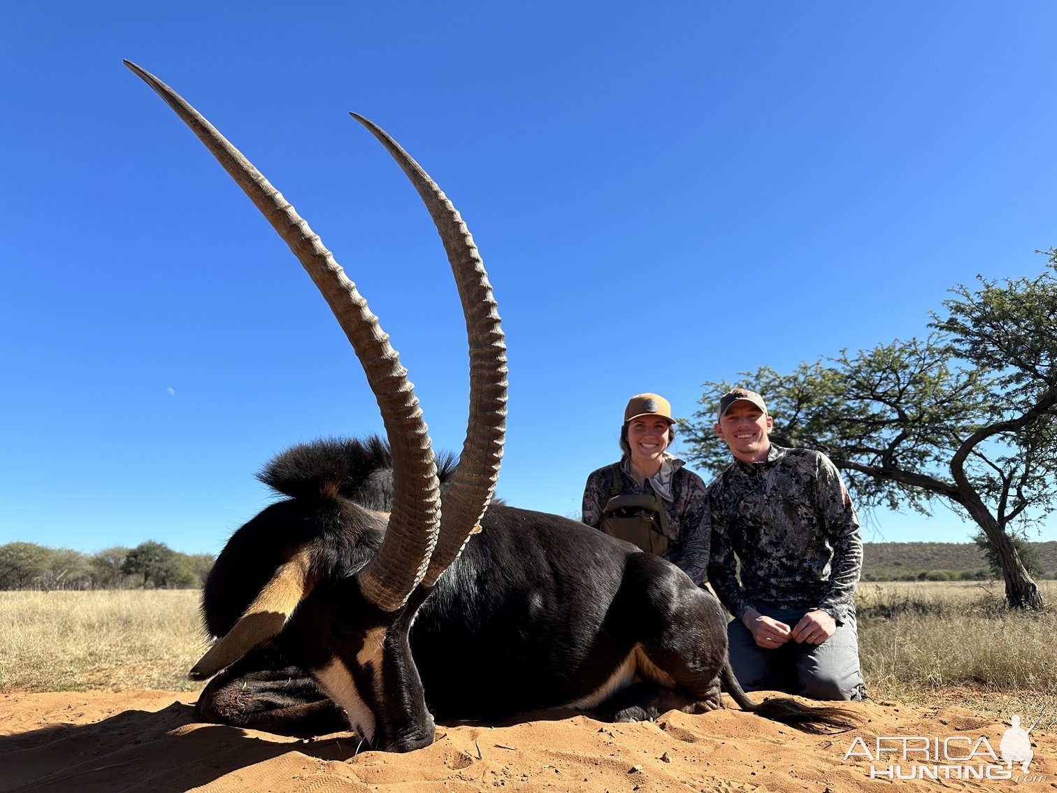 Sable Hunt South Africa