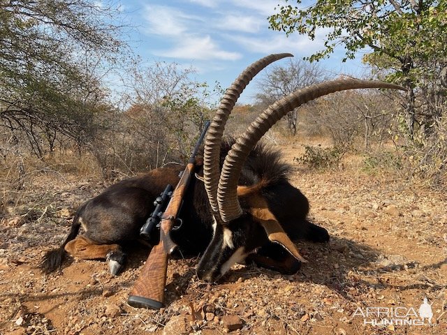 Sable Hunt South Africa