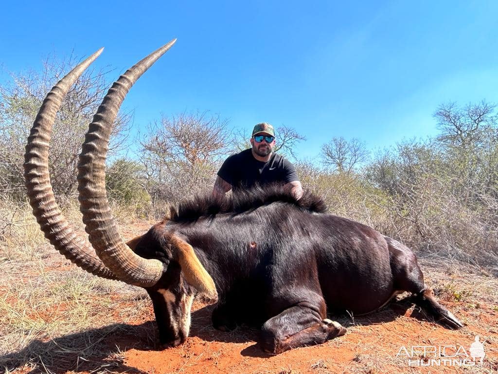 Sable Hunt South Africa