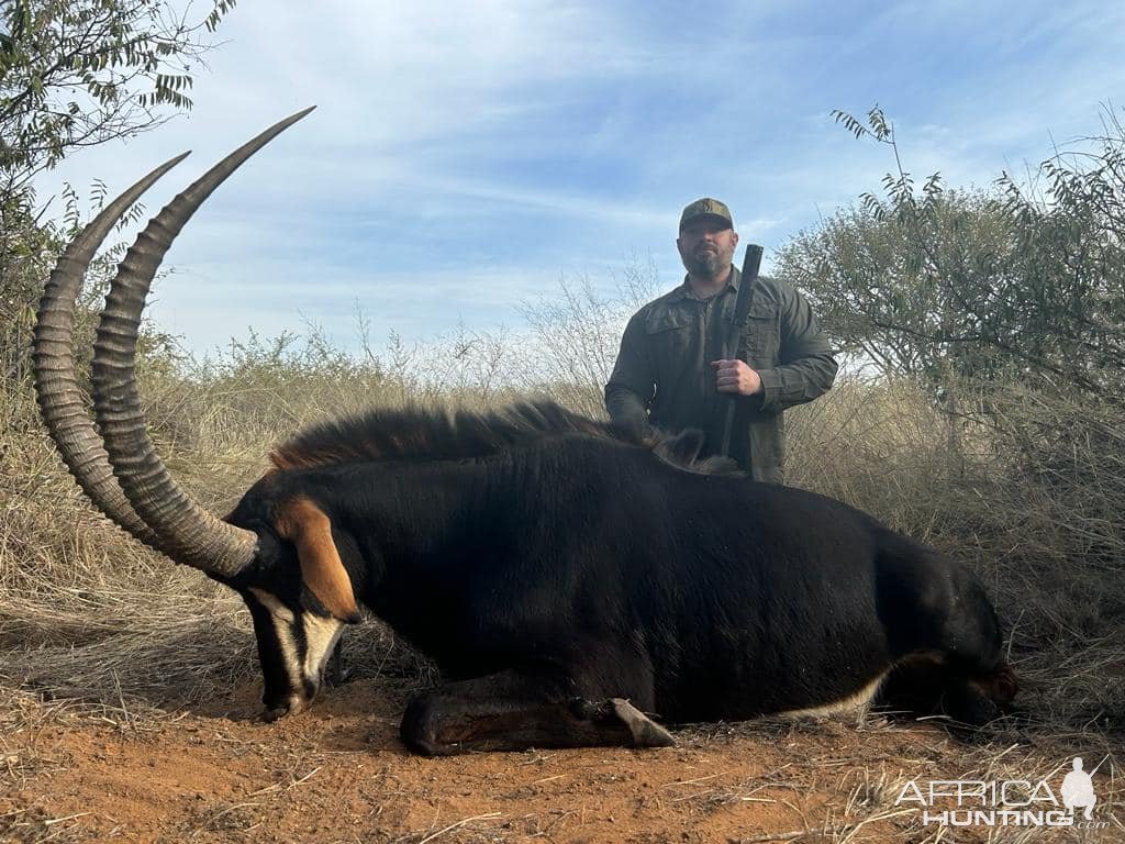 Sable Hunt South Africa