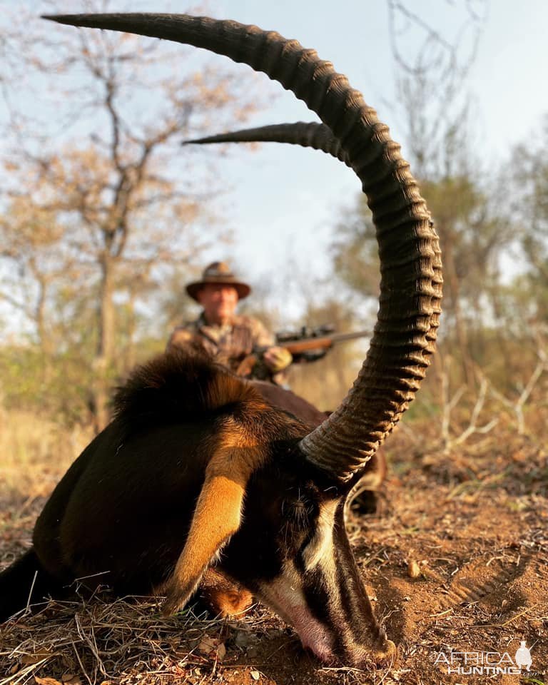 Sable Hunt South Africa