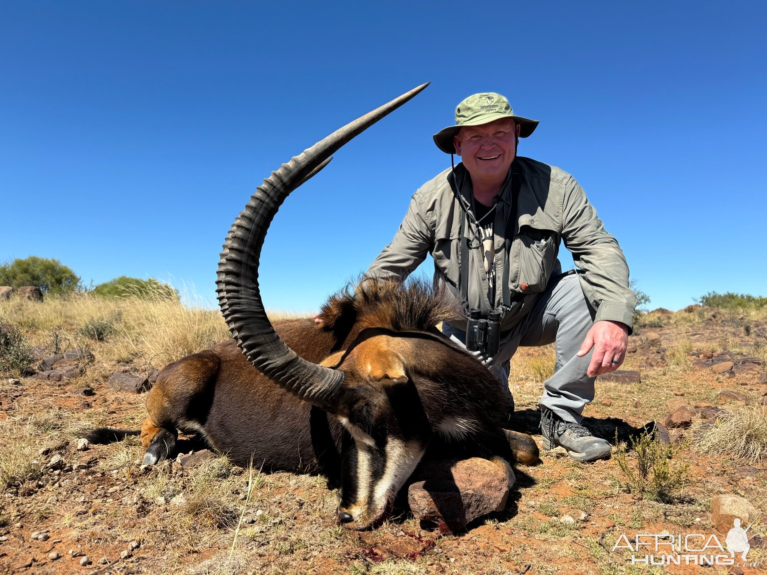 Sable Hunt South Africa