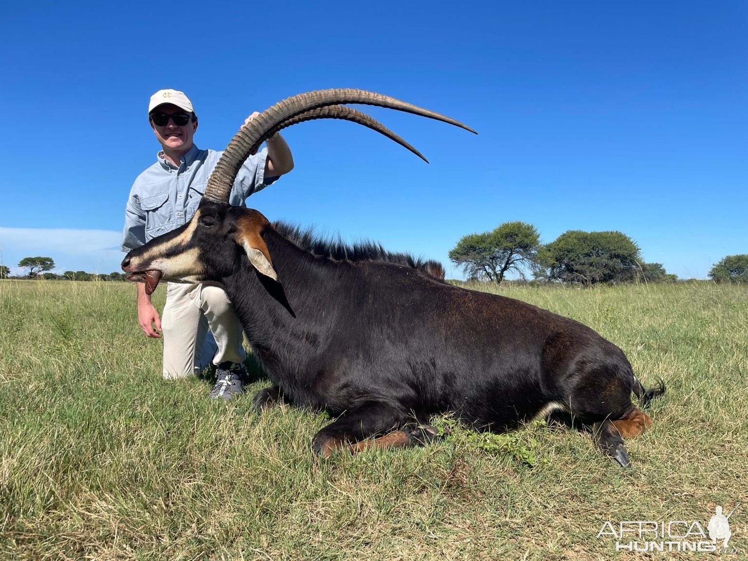 Sable Hunt South Africa