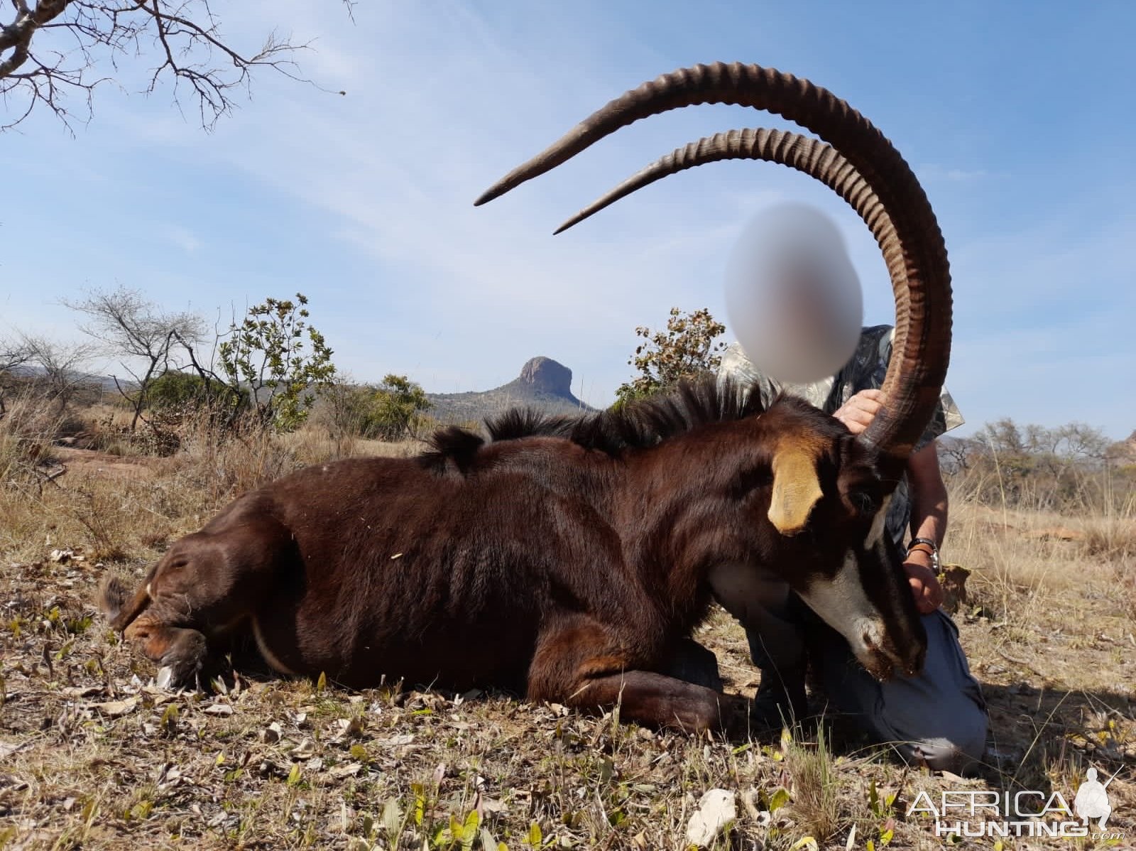 Sable Hunt South Africa