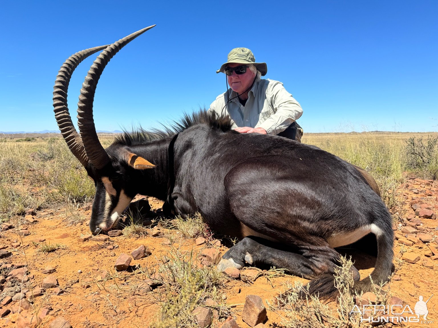 Sable Hunt South Africa