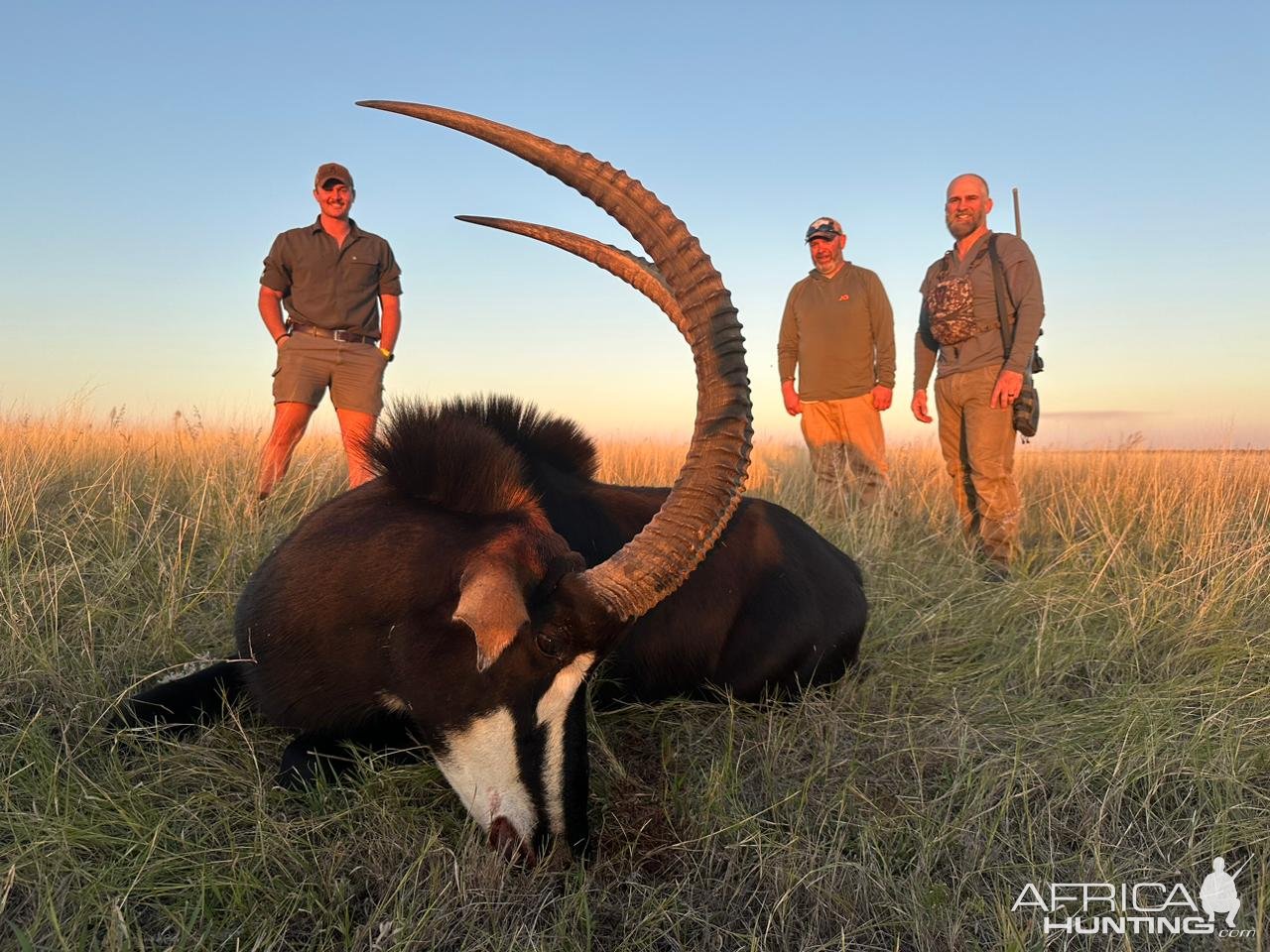 Sable Hunt South Africa