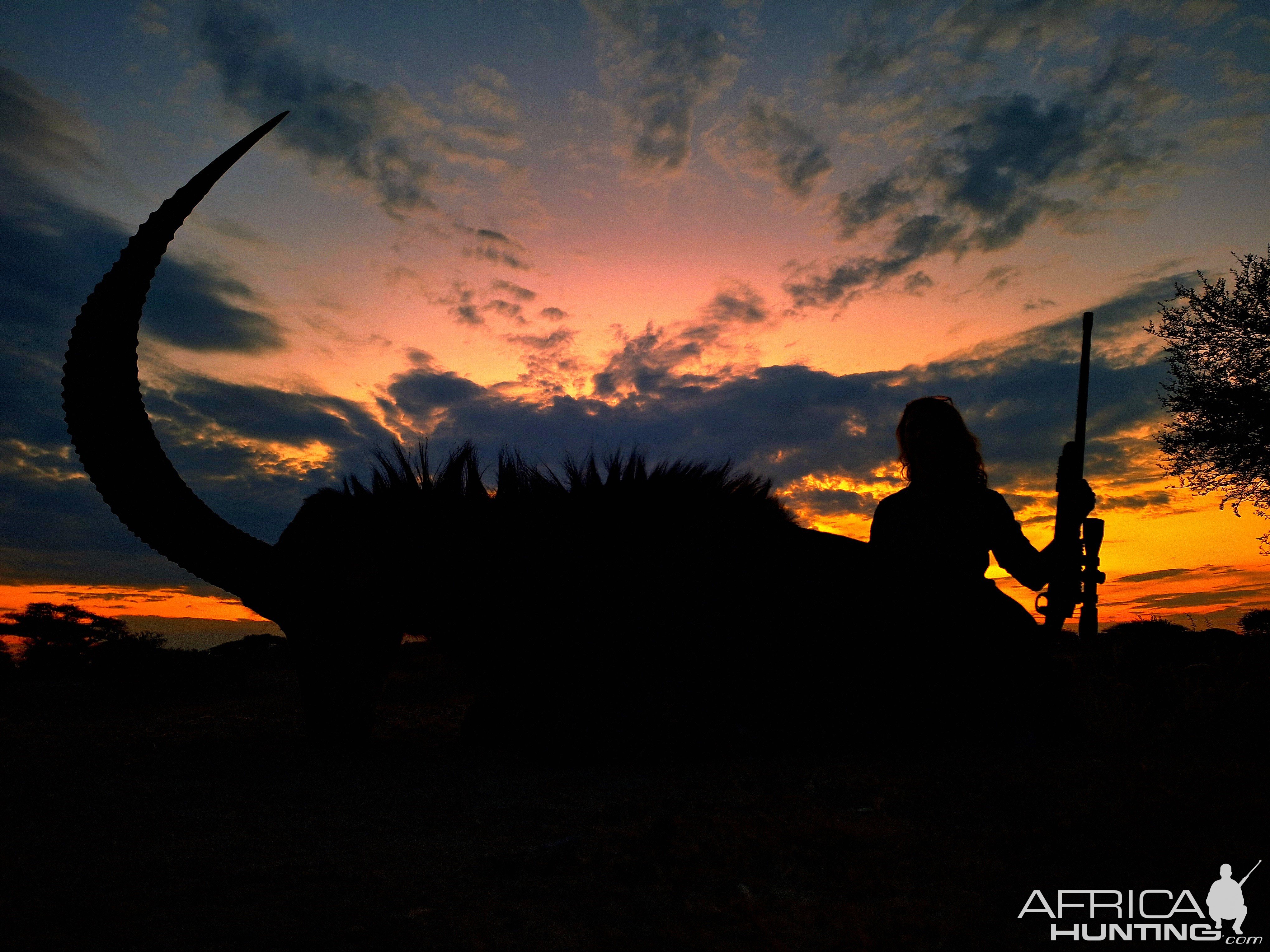 Sable Hunt South Africa