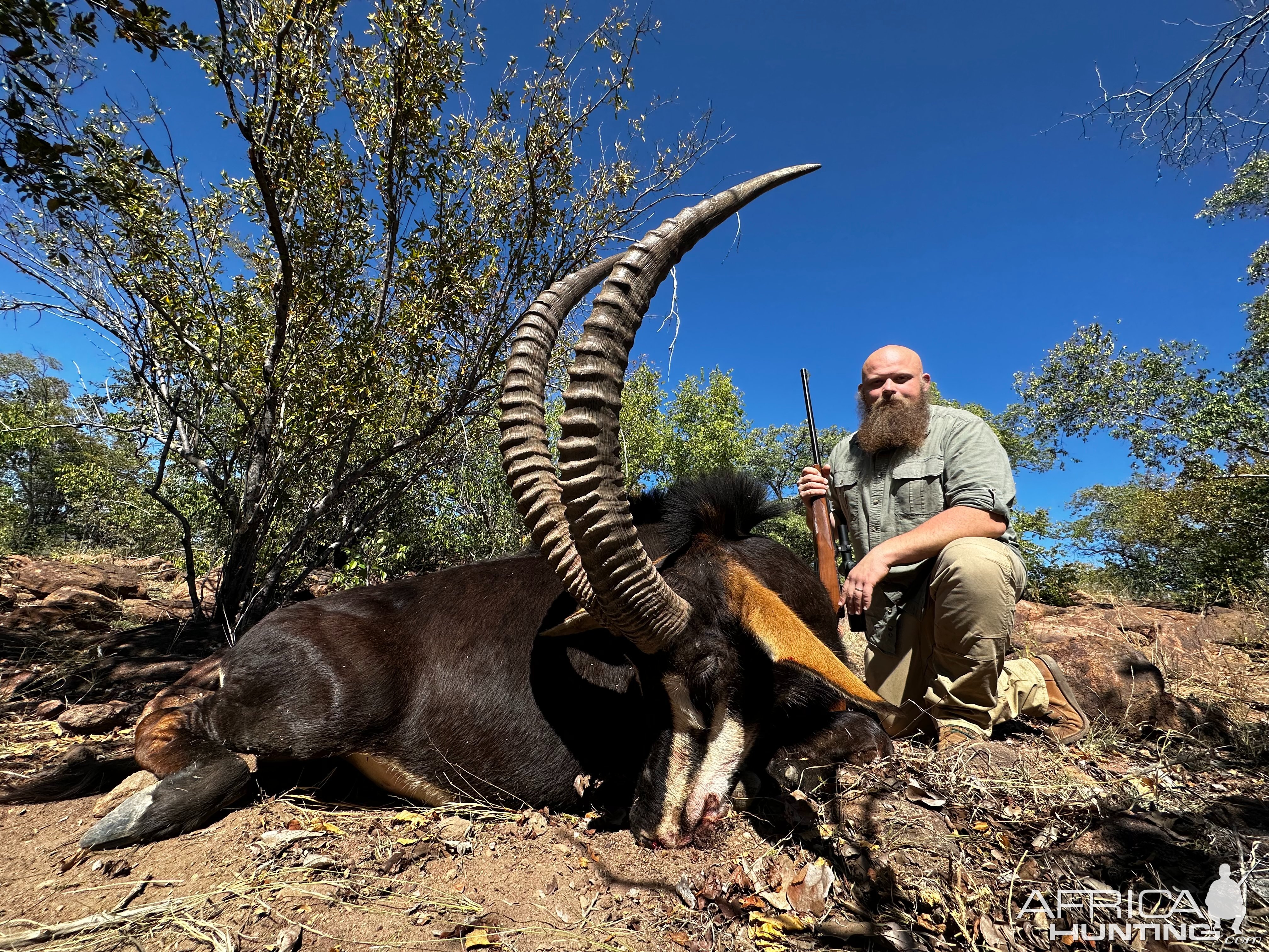 Sable Hunt South Africa