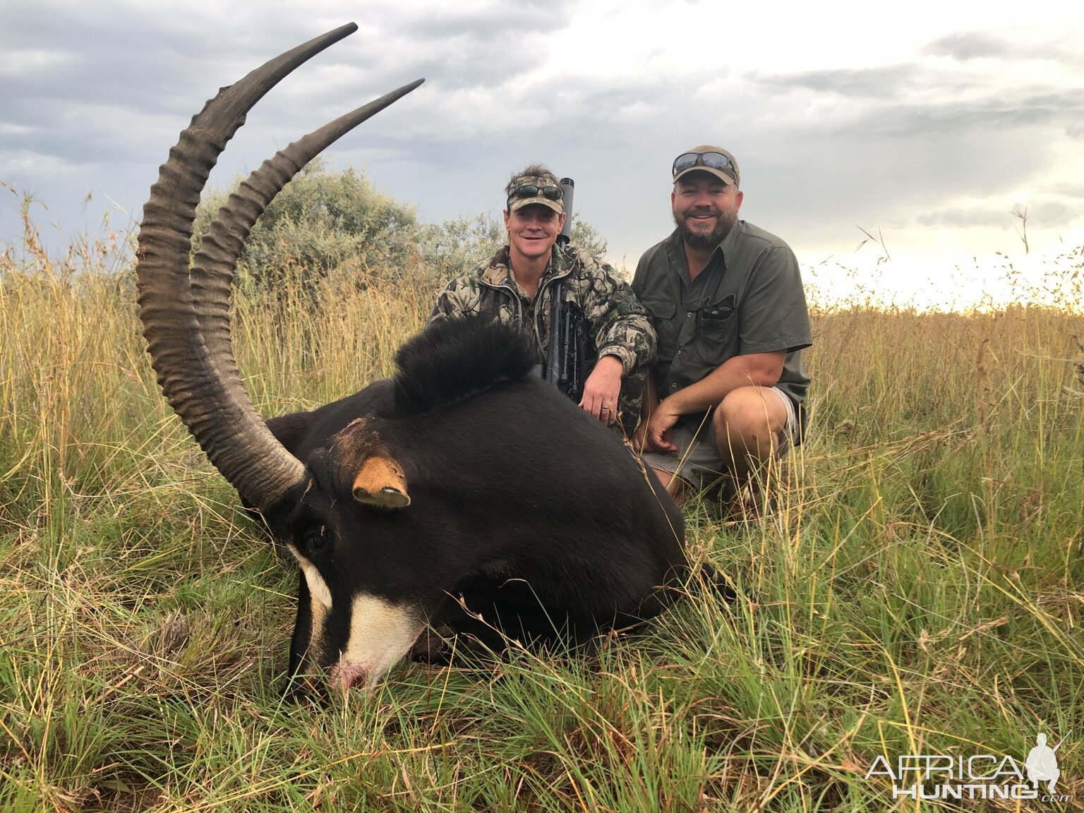 Sable Hunt South Africa