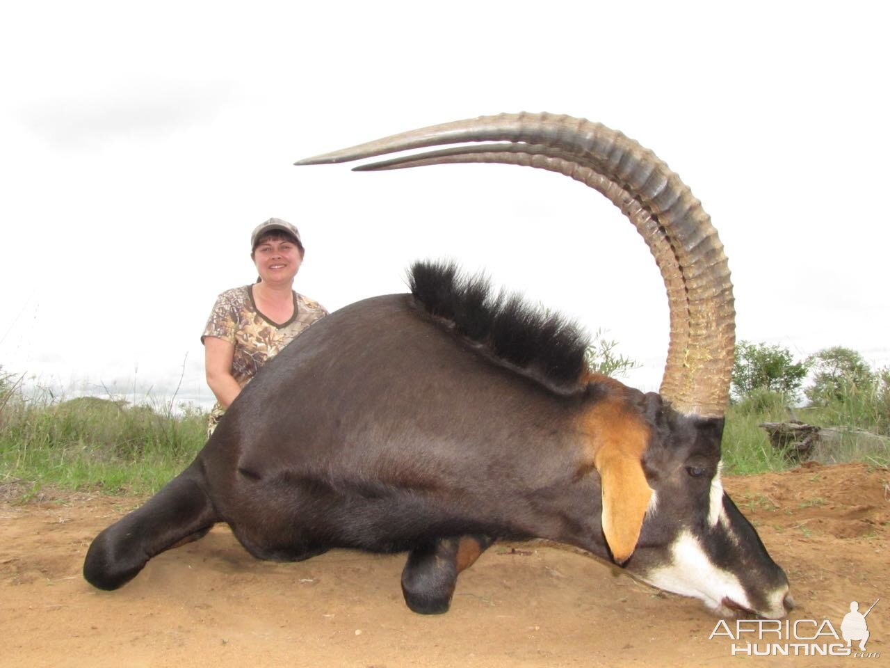 Sable Hunt South Africa