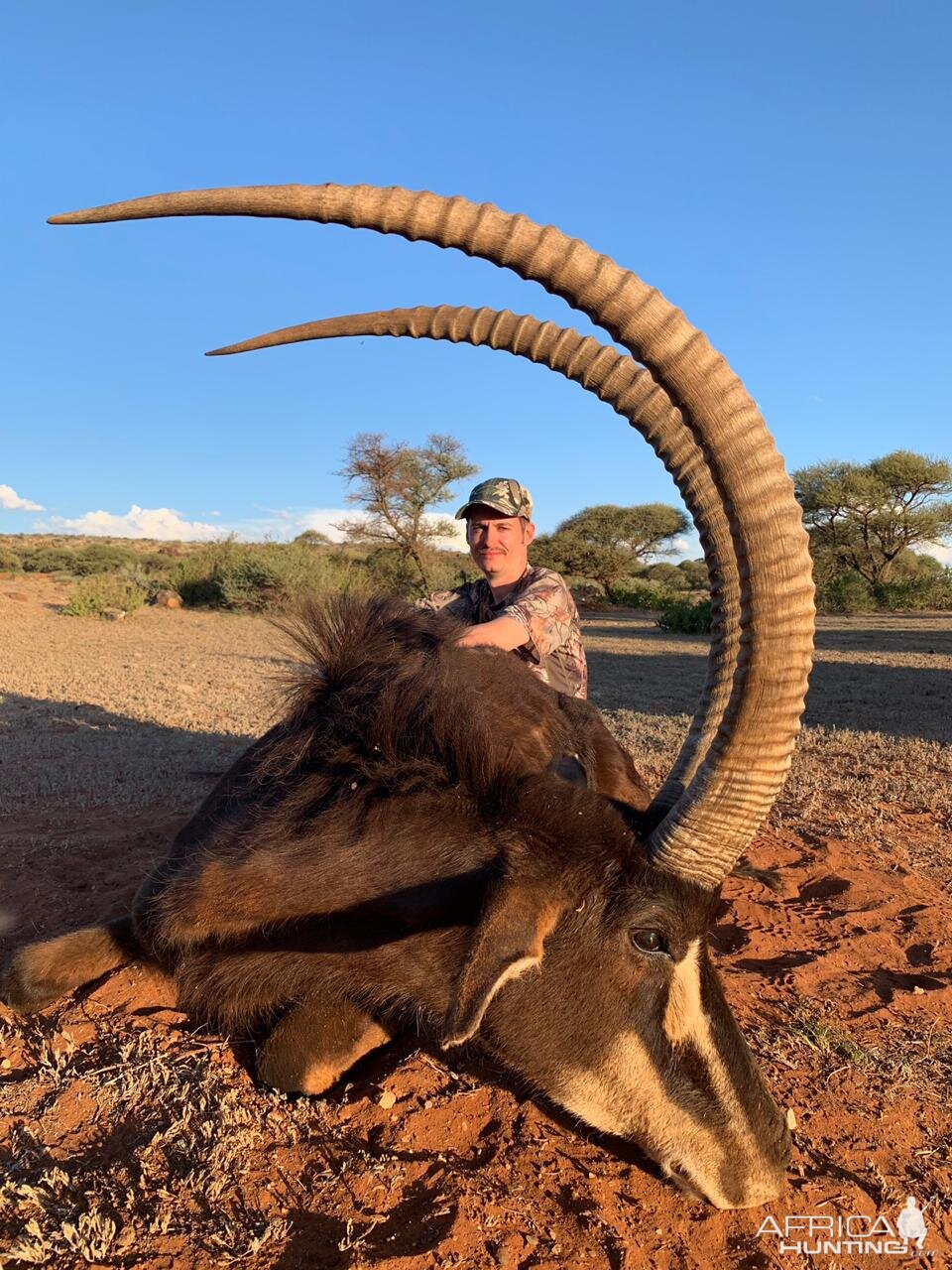 Sable Hunt South Africa