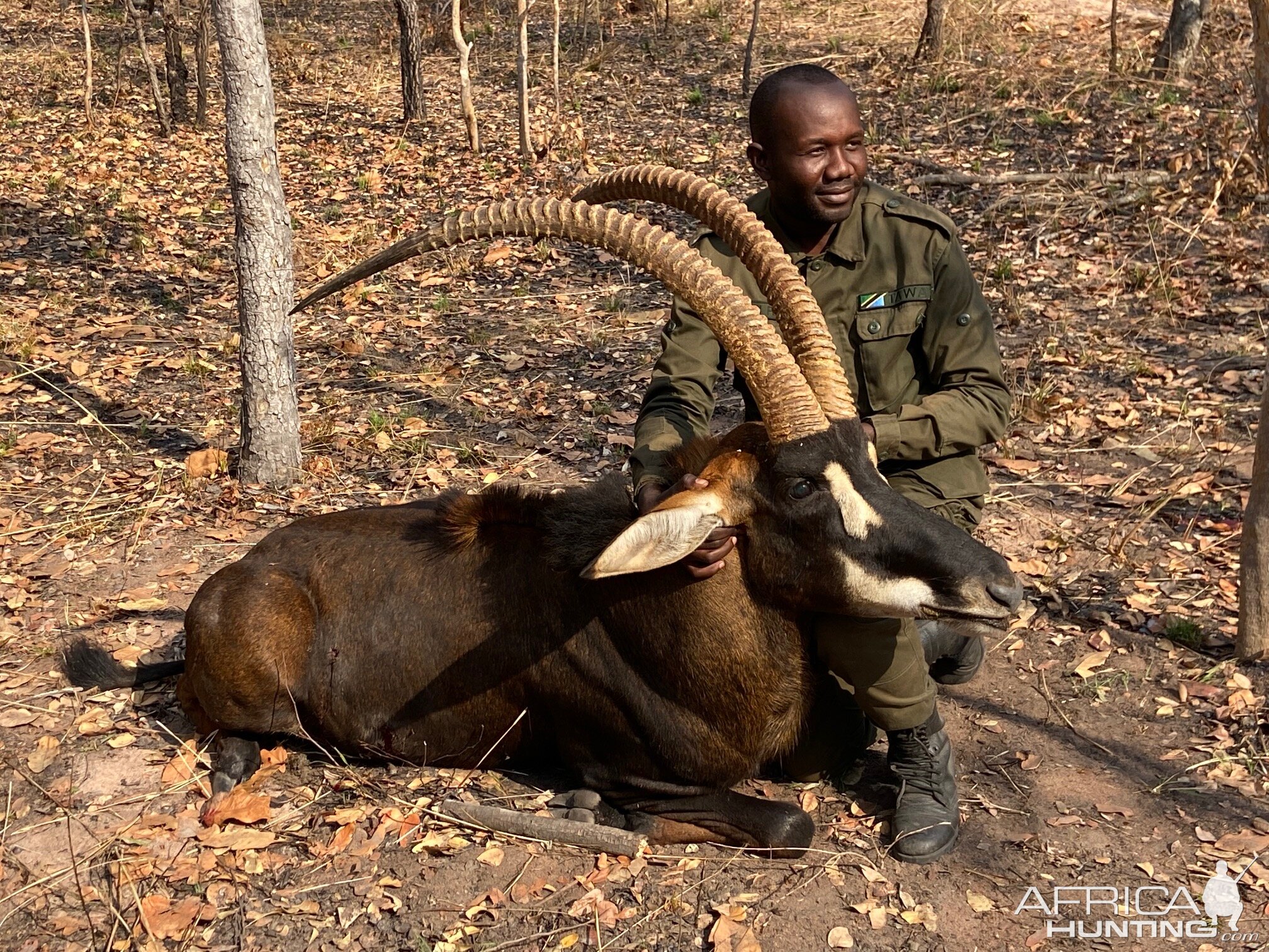 Sable Hunt Tanzania