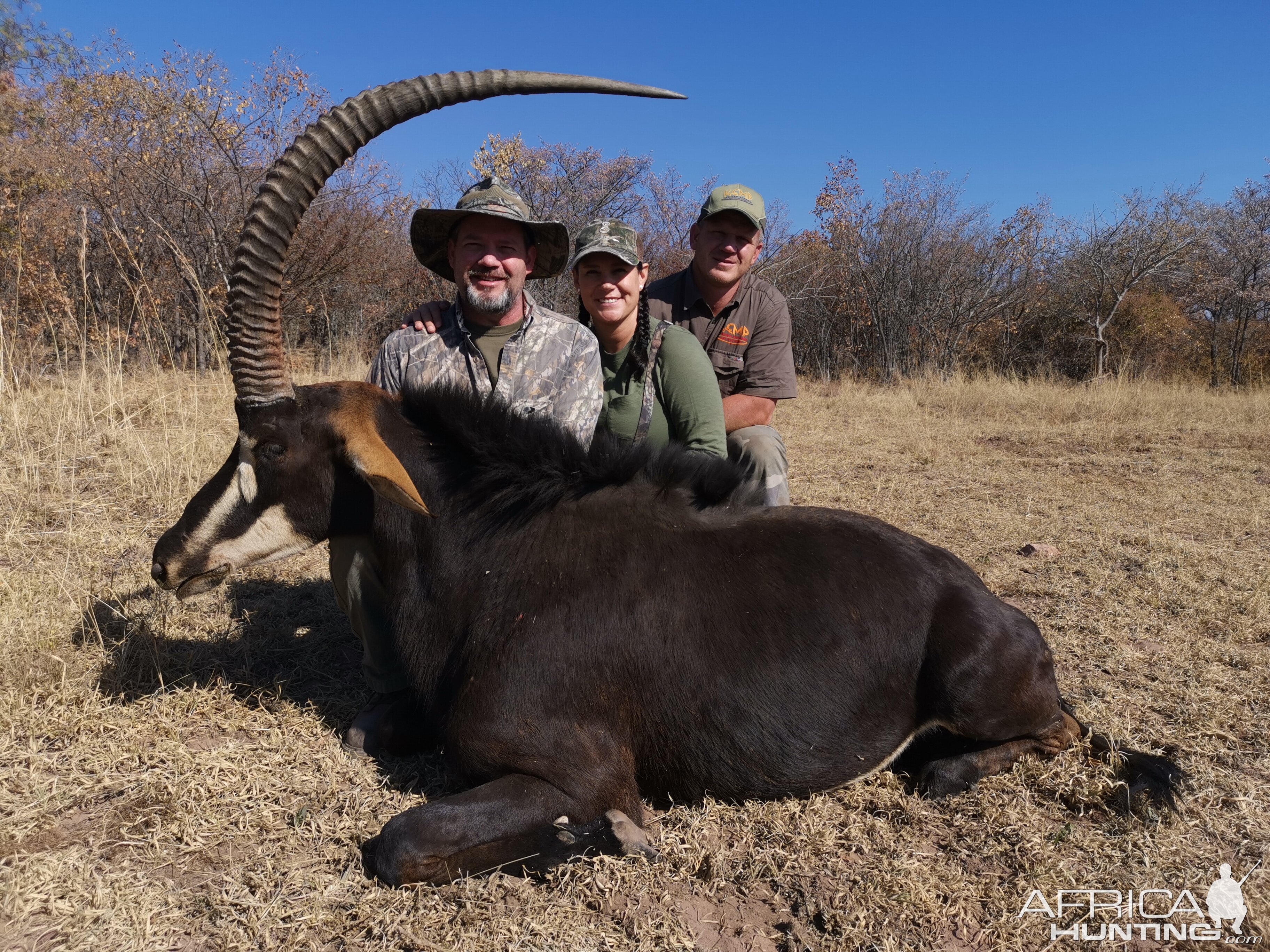 Sable Hunt Waterberg Mountains Limpopo Province Of South Africa