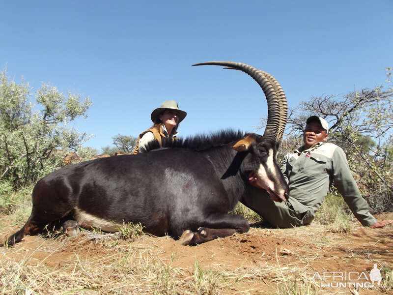 Sable hunt with Wintershoek Johnny Vivier Safaris