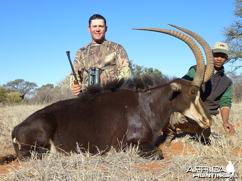 Sable hunt with Wintershoek Johnny Vivier Safaris