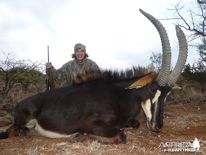 Sable hunt with Wintershoek Johnny Vivier Safaris