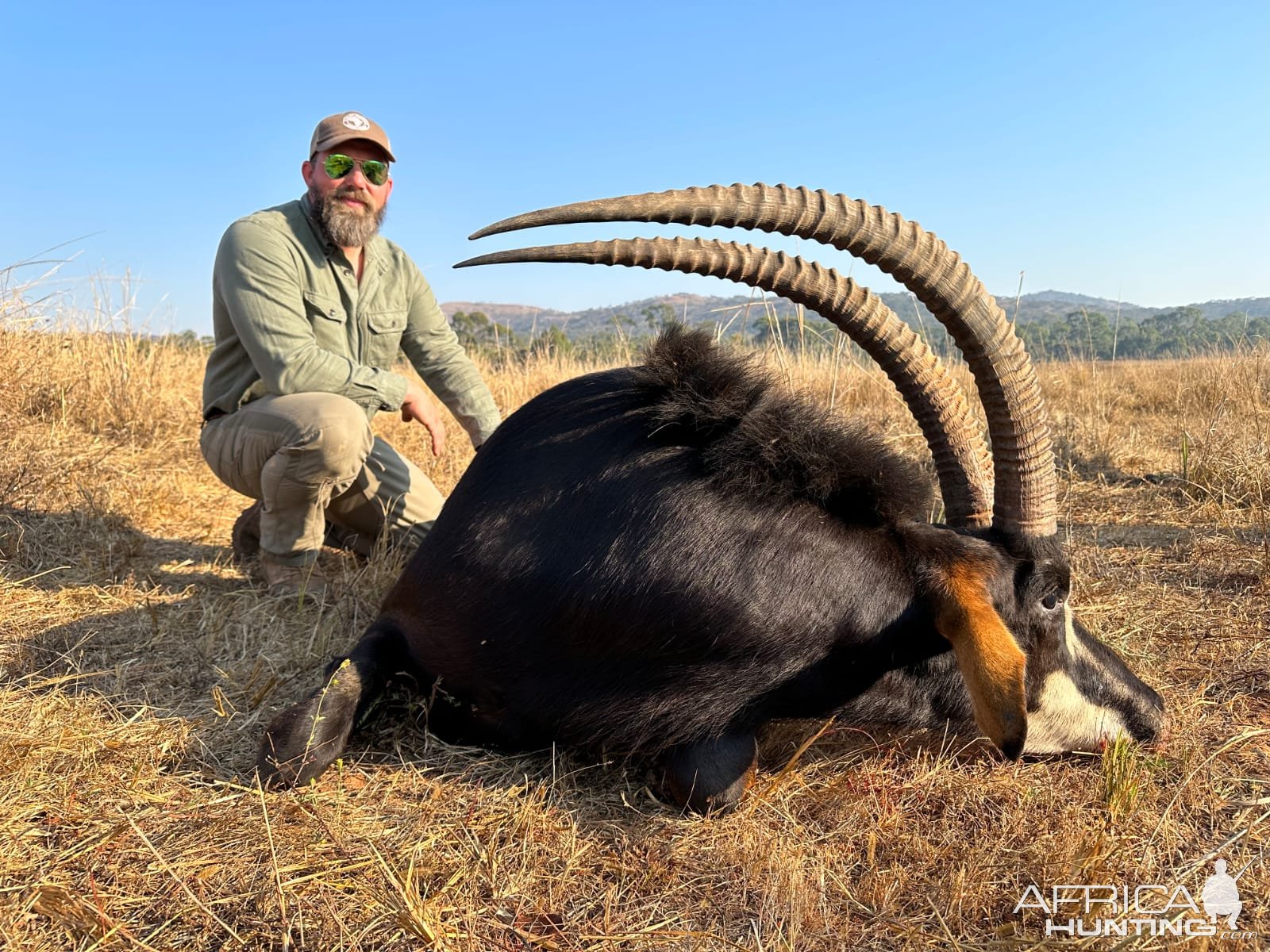 Sable Hunt Zambia