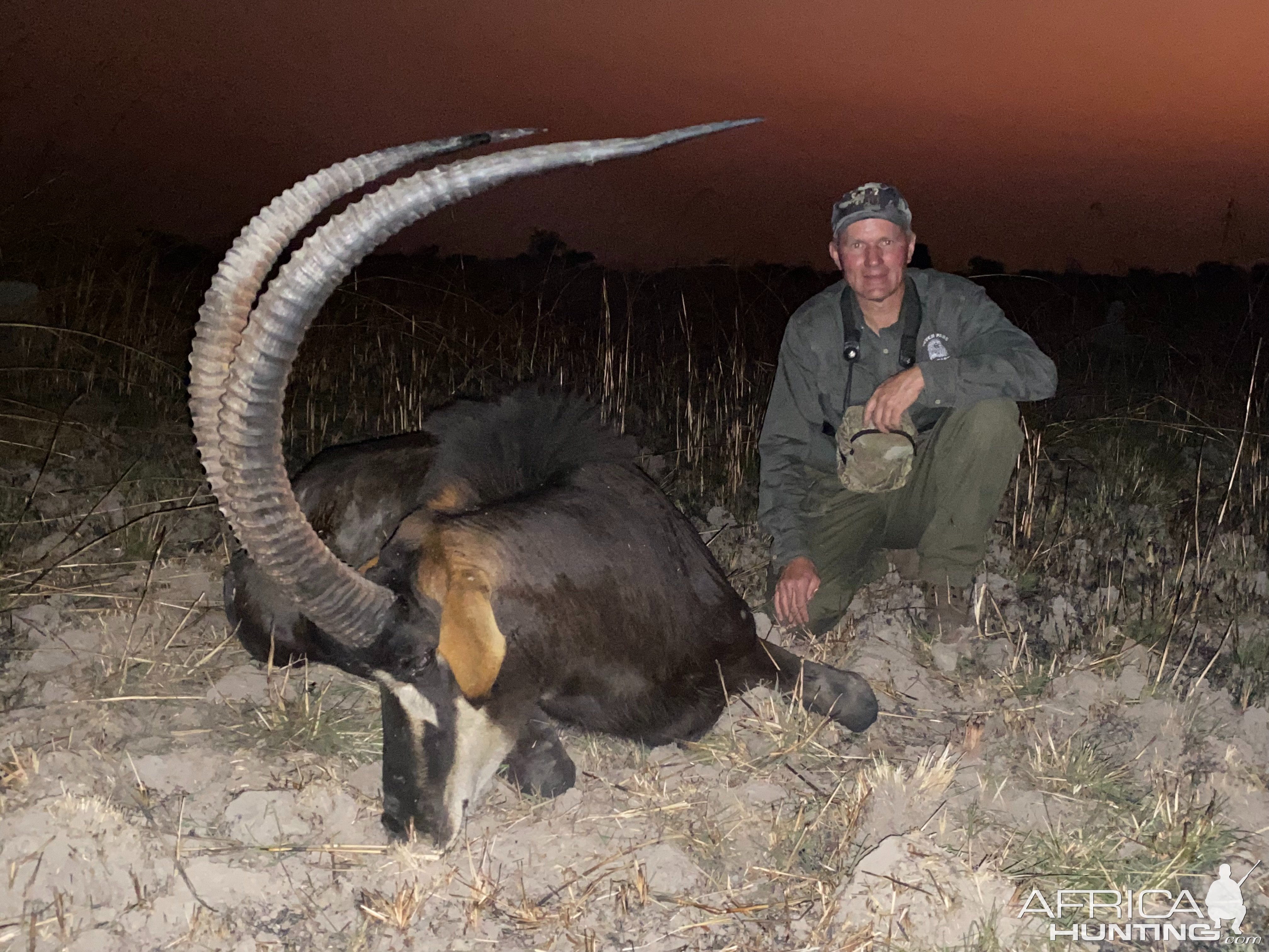 Sable Hunt Zambia